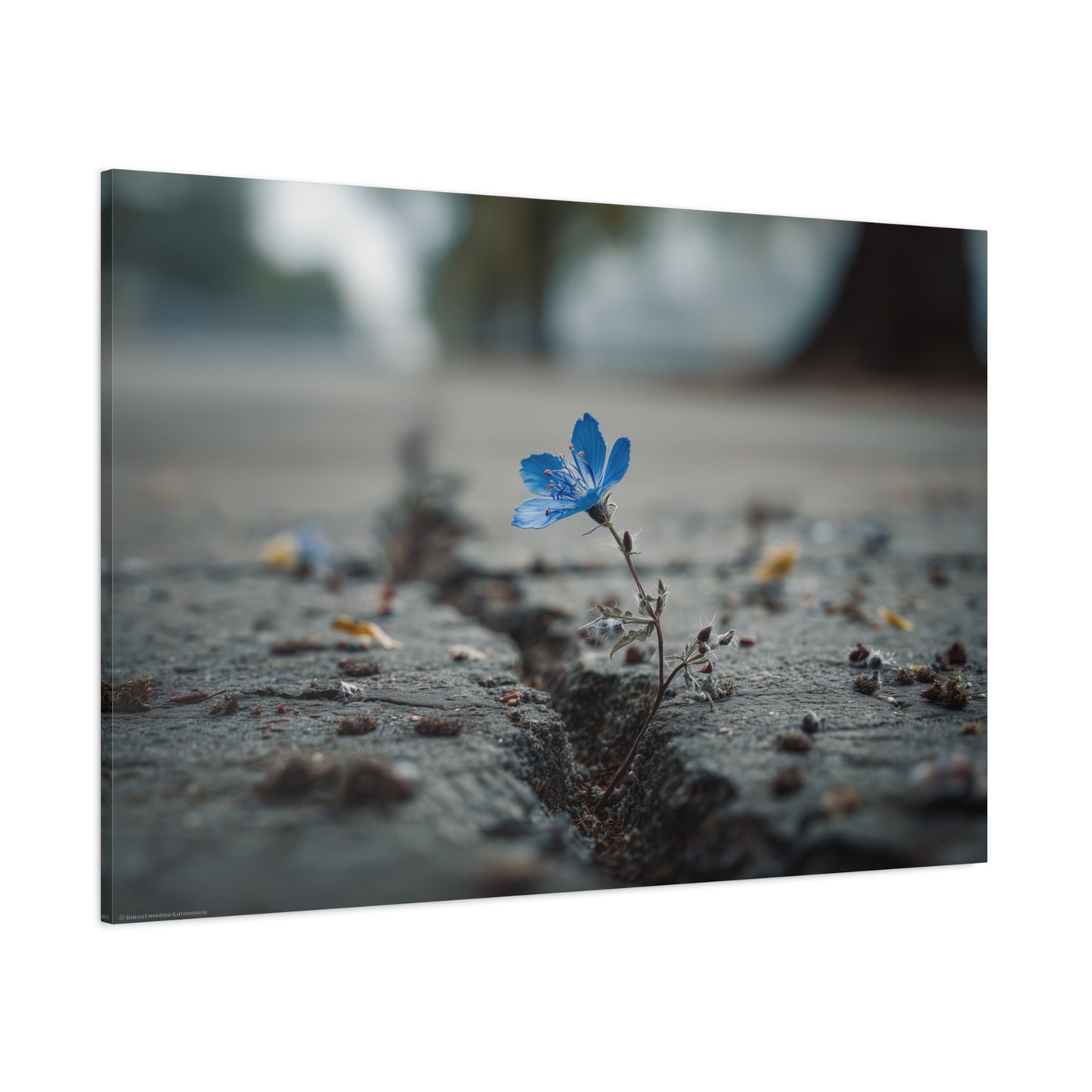 Resilience in Blue: Macro Flower Photography, Urban Nature Survival--1aceswild.myshopify.com