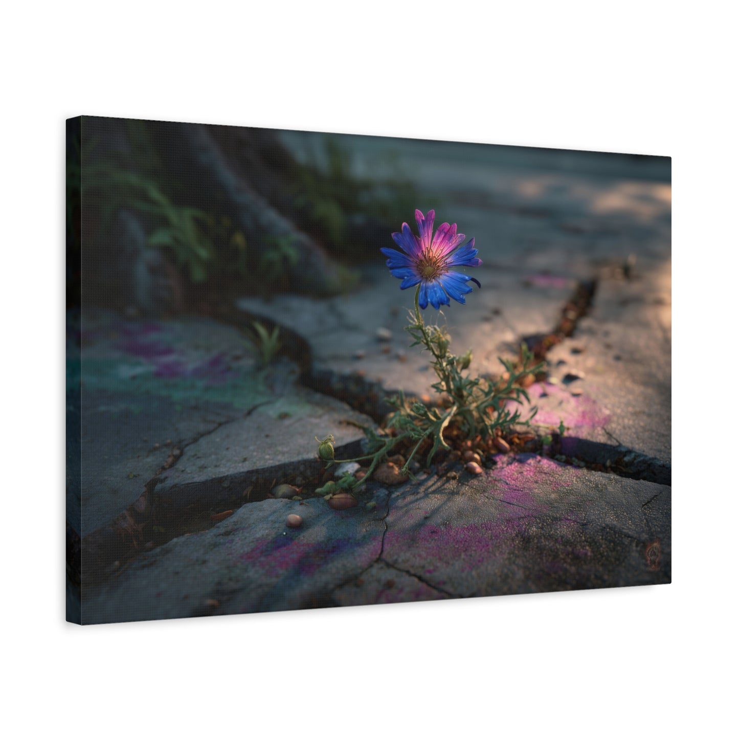 Resilience of Blue: Wildflower Through Concrete, Nature's Defiant Bloom--1aceswild.myshopify.com