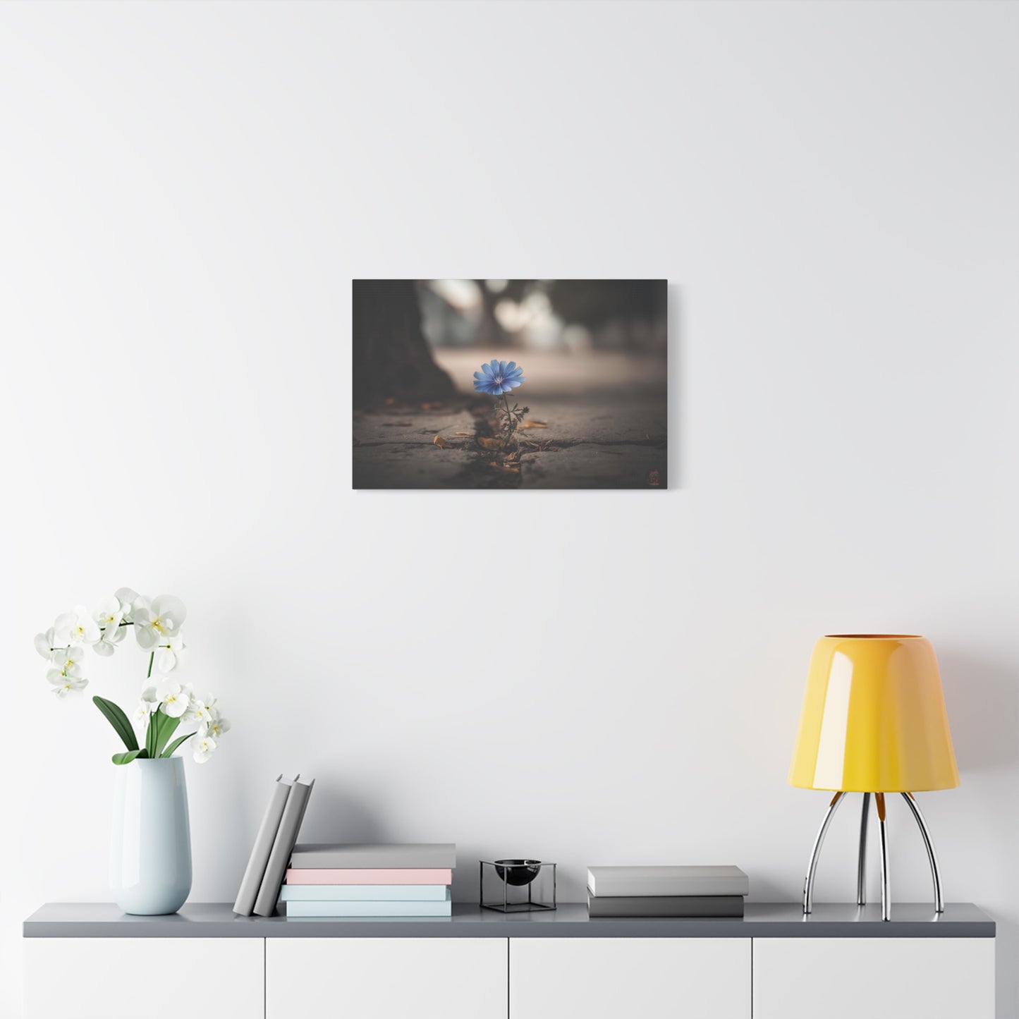 Resilience in Blue: Chicory Flower Emerging, Nature's Defiance Through Concrete--1aceswild.myshopify.com