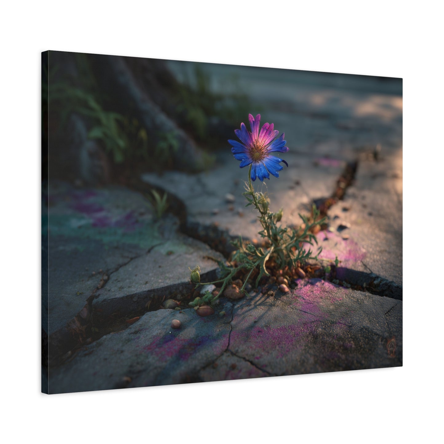 Resilience of Blue: Wildflower Through Concrete, Nature's Defiant Bloom--1aceswild.myshopify.com