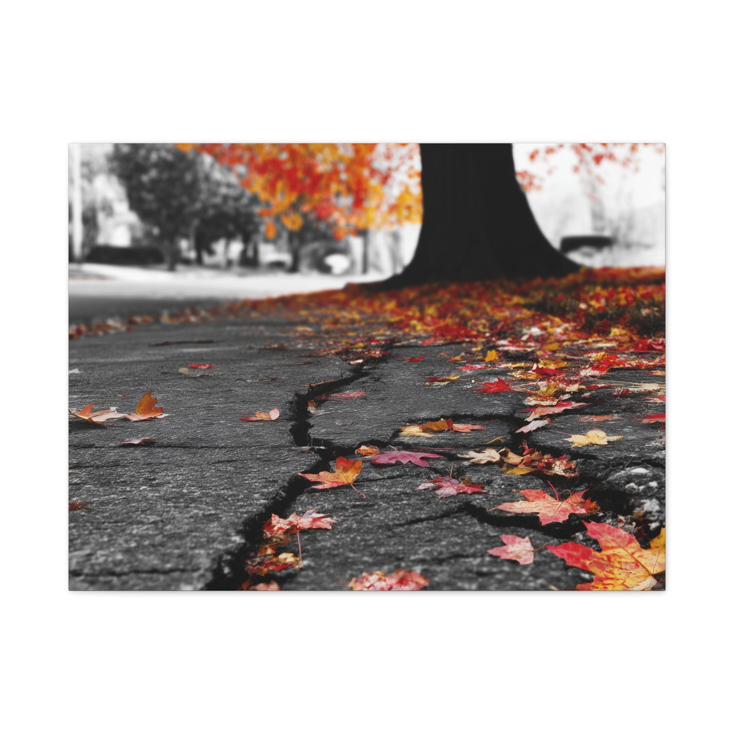 Autumn's Requiem: Fallen Maple Fragments, Grayscale Urban Decay--1aceswild.myshopify.com