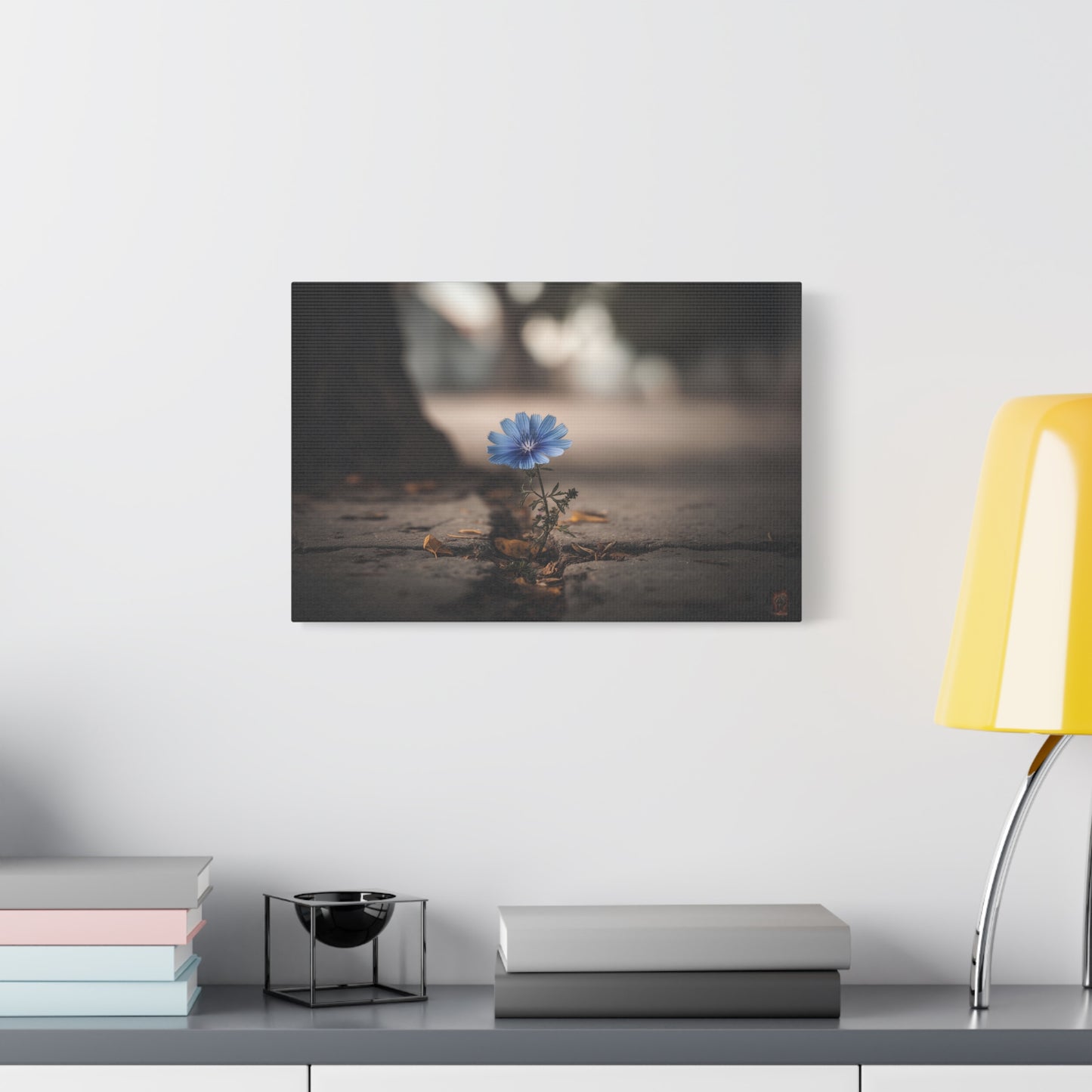 Resilience in Blue: Chicory Flower Emerging, Nature's Defiance Through Concrete--1aceswild.myshopify.com