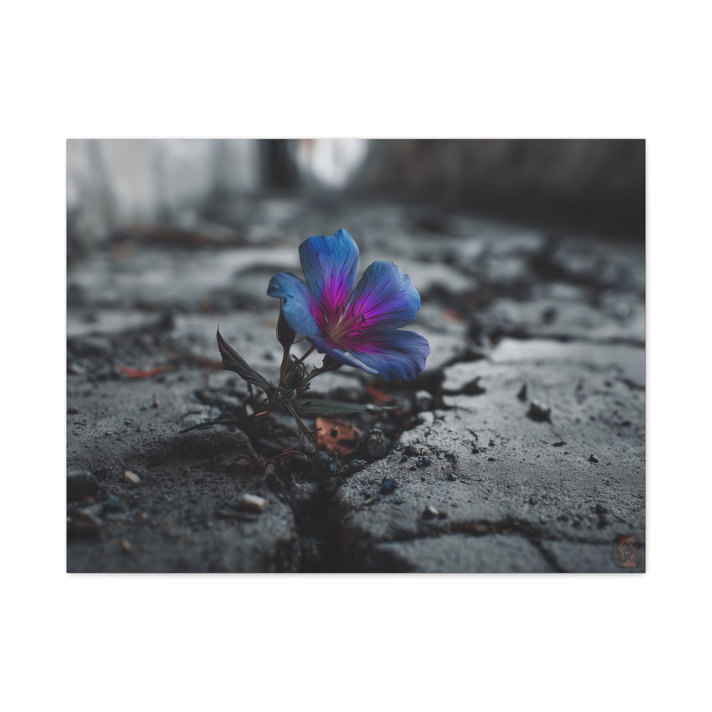 Resilient Bloom: Vibrant Macro Flower Photography, Landscape of Contrast--1aceswild.myshopify.com