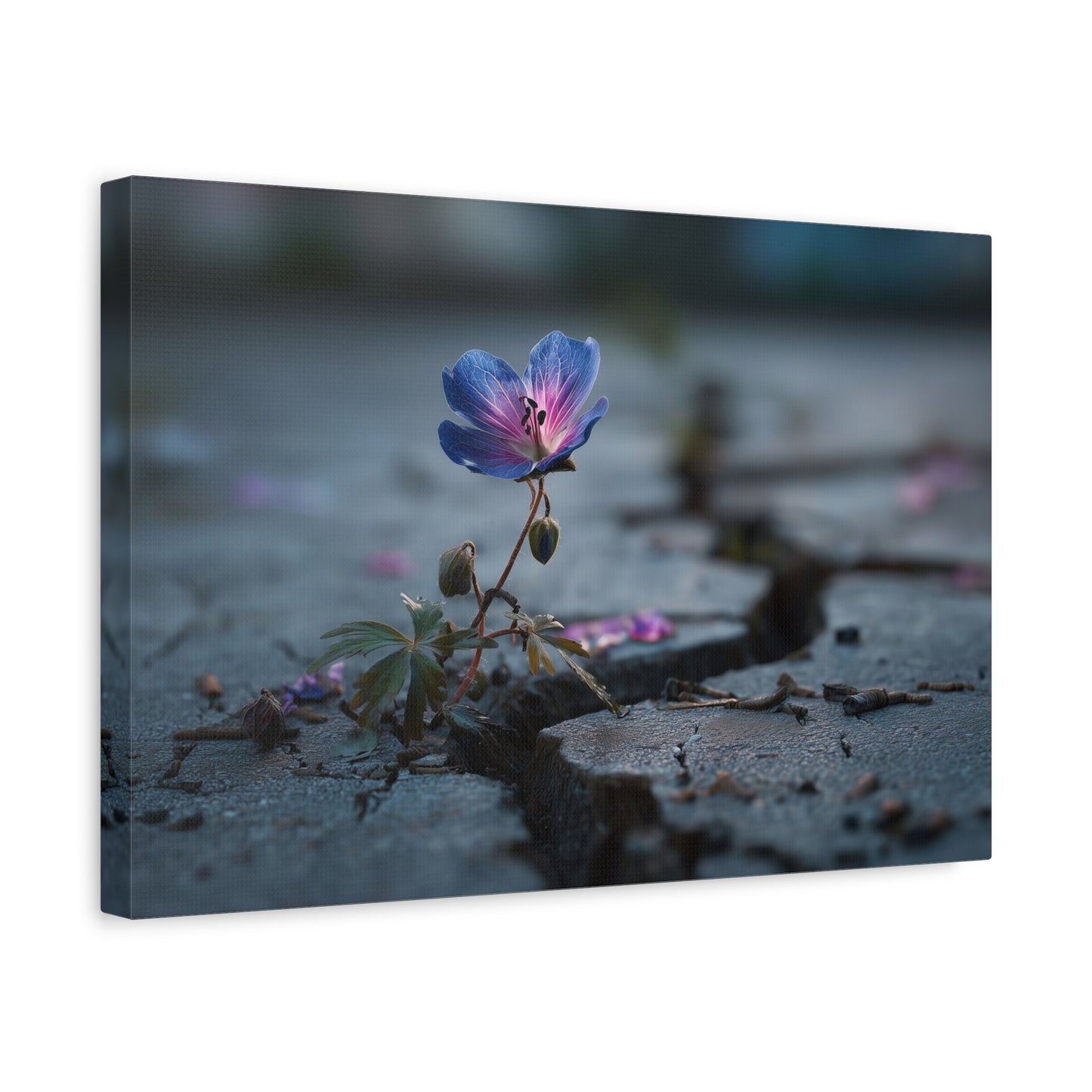 Resilient Bloom: Macro Geranium Photography, Nature's Endurance Landscape--1aceswild.myshopify.com
