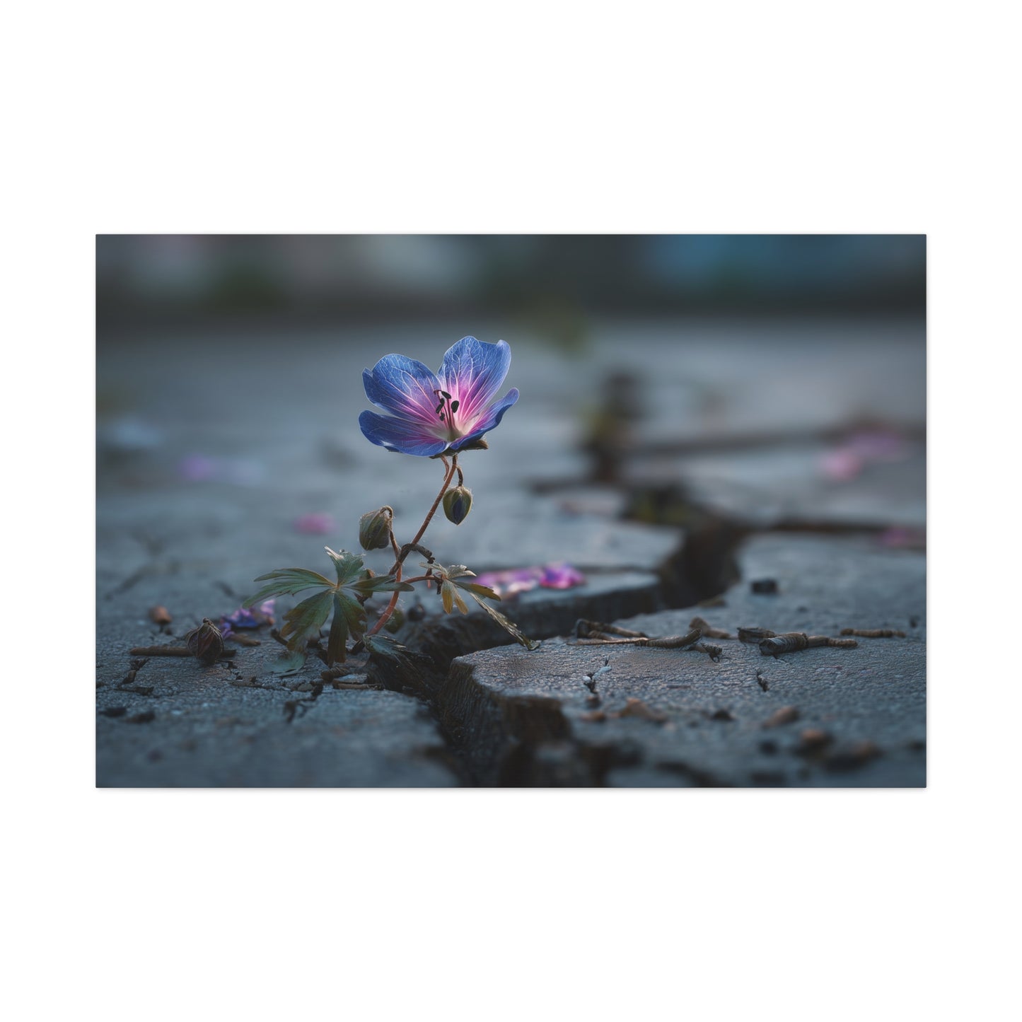 Resilient Bloom: Macro Geranium Photography, Nature's Endurance Landscape--1aceswild.myshopify.com