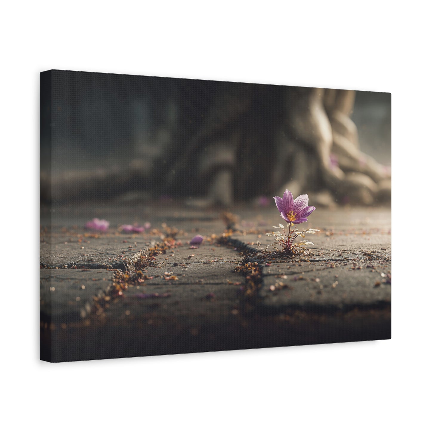 Resilient Bloom: Concrete Flower Macro, Purple Nature Photography--1aceswild.myshopify.com