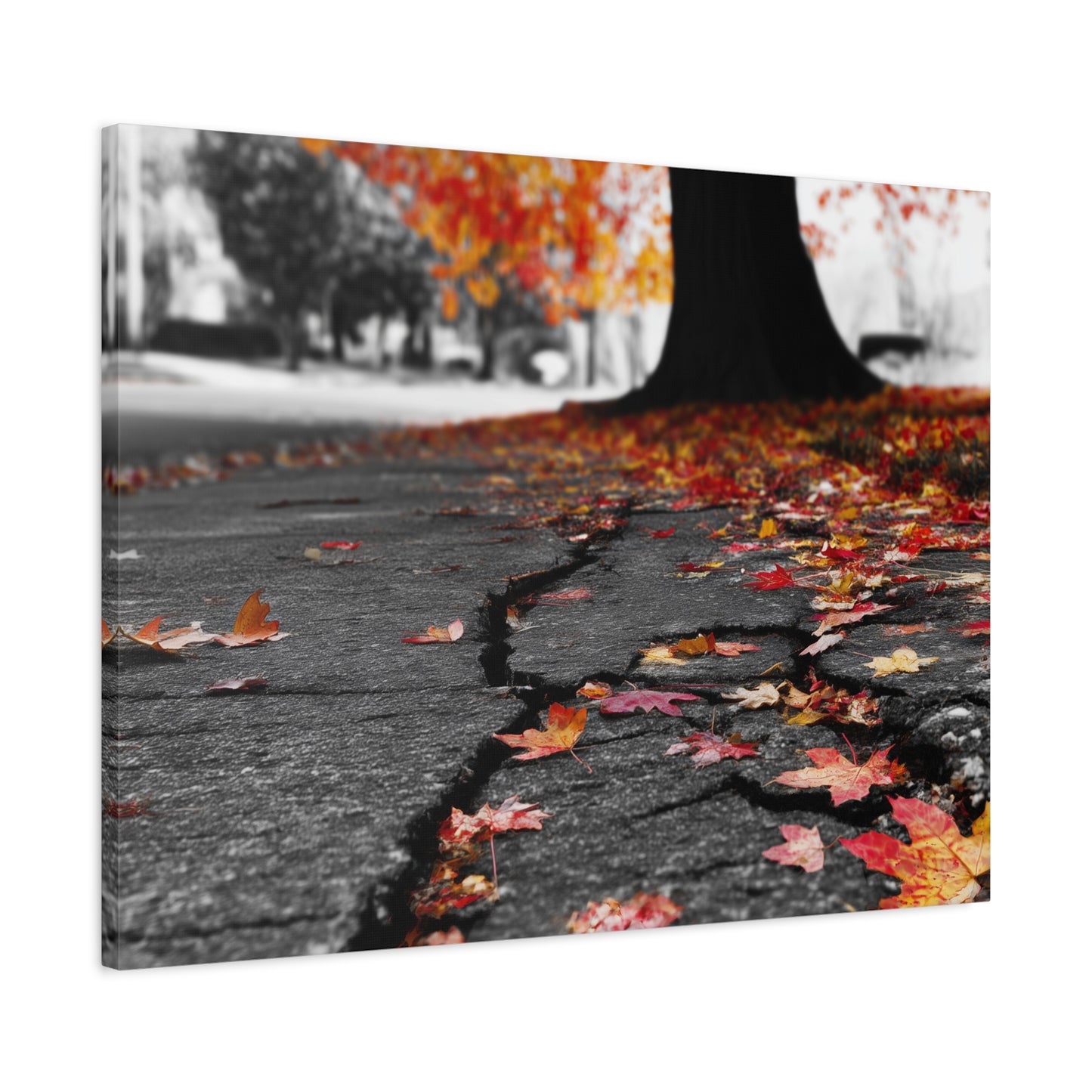 Autumn's Requiem: Fallen Maple Fragments, Grayscale Urban Decay--1aceswild.myshopify.com
