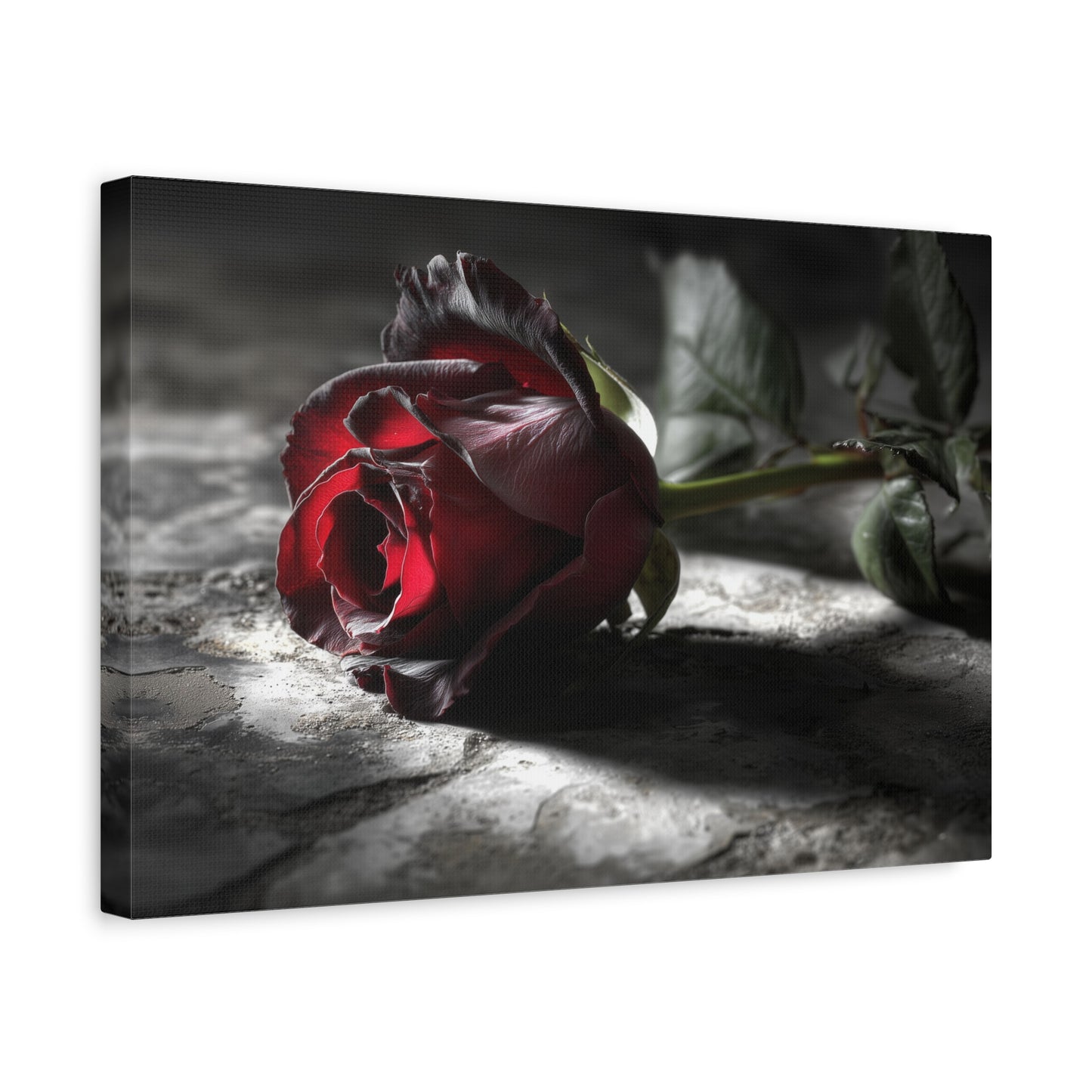 Crimson Solitude: Velveteen Rose in Monochrome, Dramatic Floral Photography--1aceswild.myshopify.com