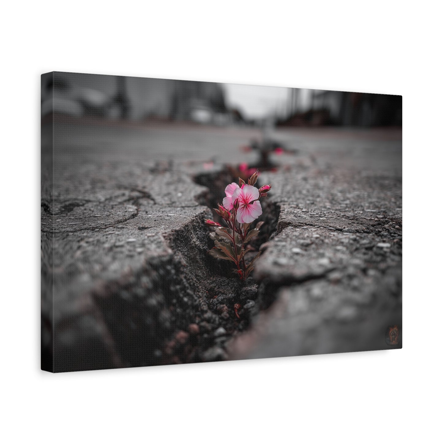 Resilient Bloom: Nature's Defiance, Black and White Urban Photography--1aceswild.myshopify.com