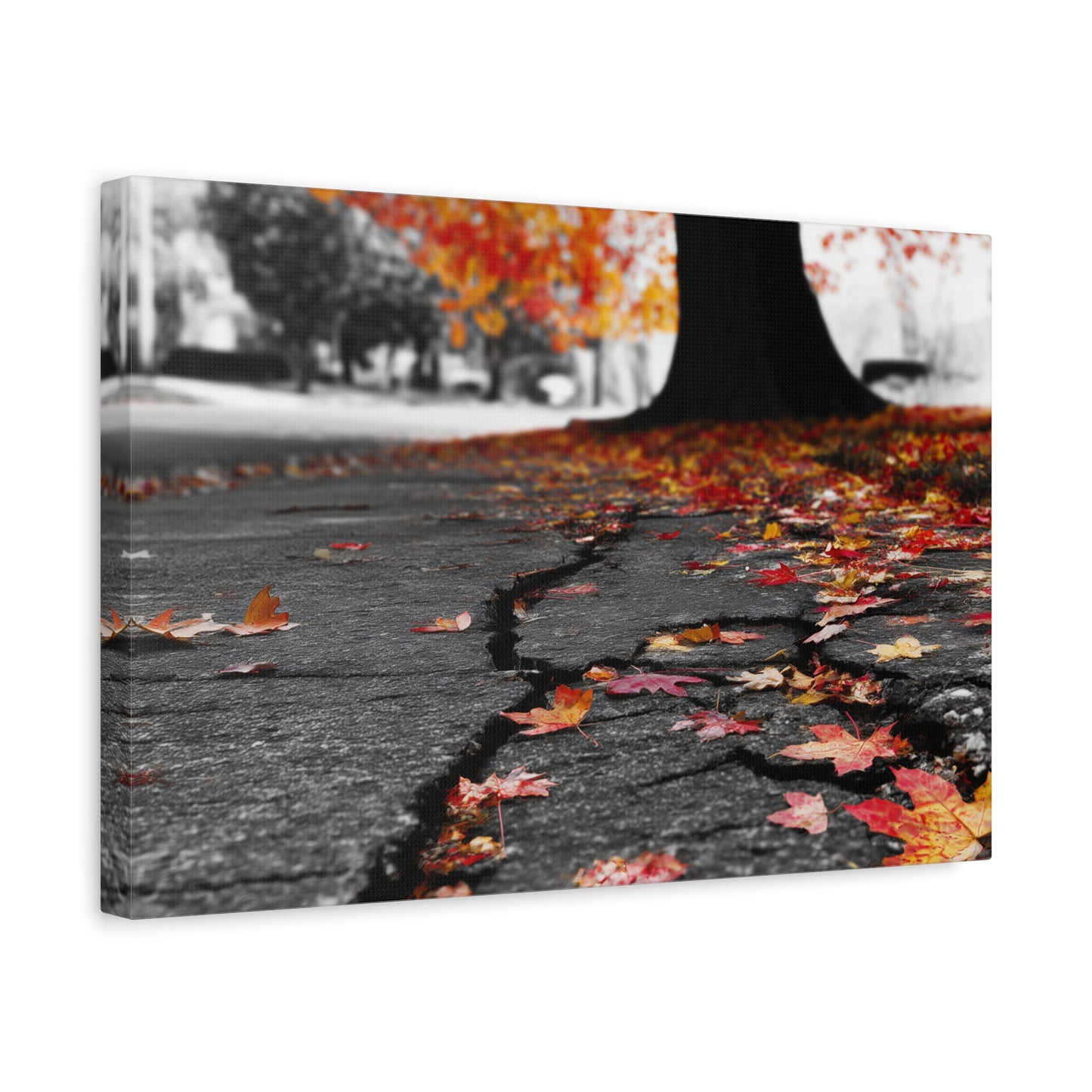 Autumn's Requiem: Fallen Maple Fragments, Grayscale Urban Decay--1aceswild.myshopify.com