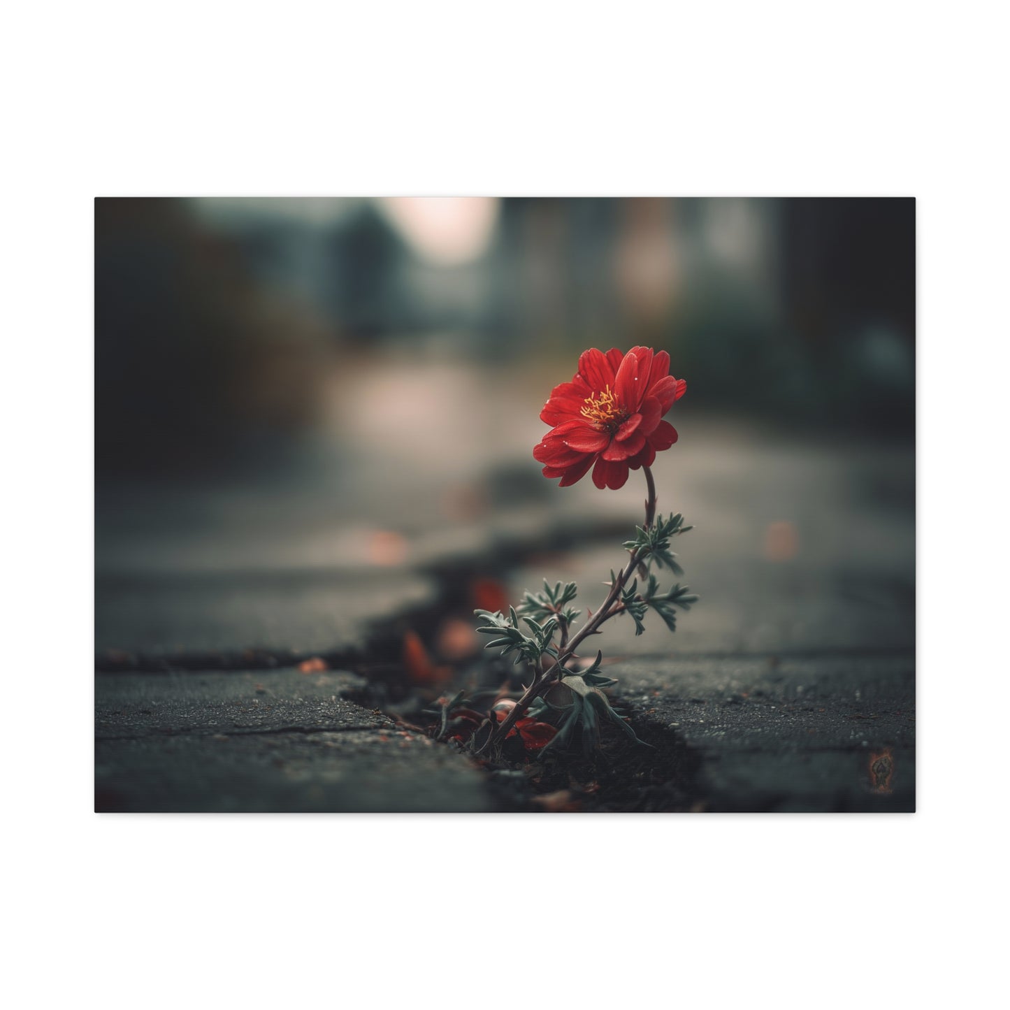 Resilience Blooms: Urban Flower Photography, Concrete Landscape Art--1aceswild.myshopify.com