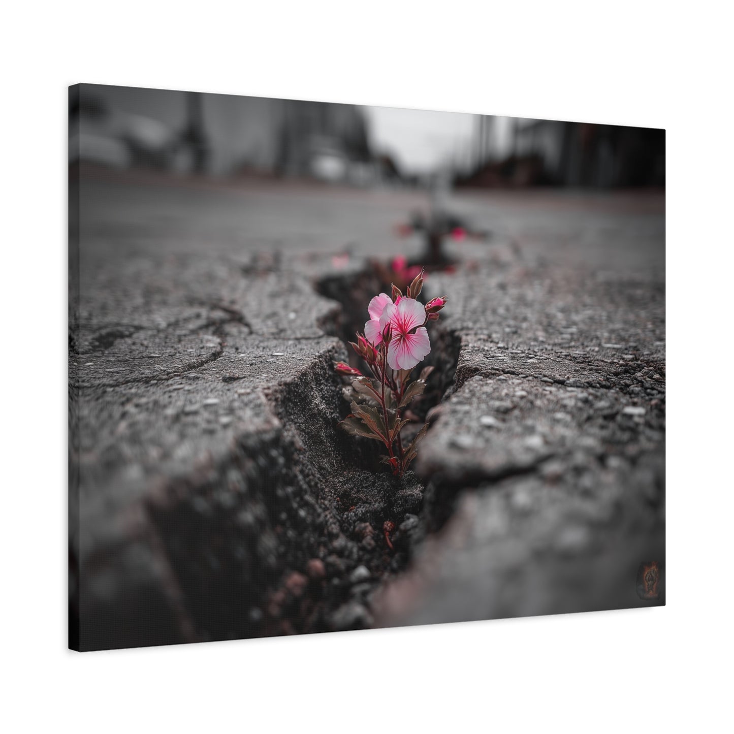 Resilient Bloom: Nature's Defiance, Black and White Urban Photography--1aceswild.myshopify.com