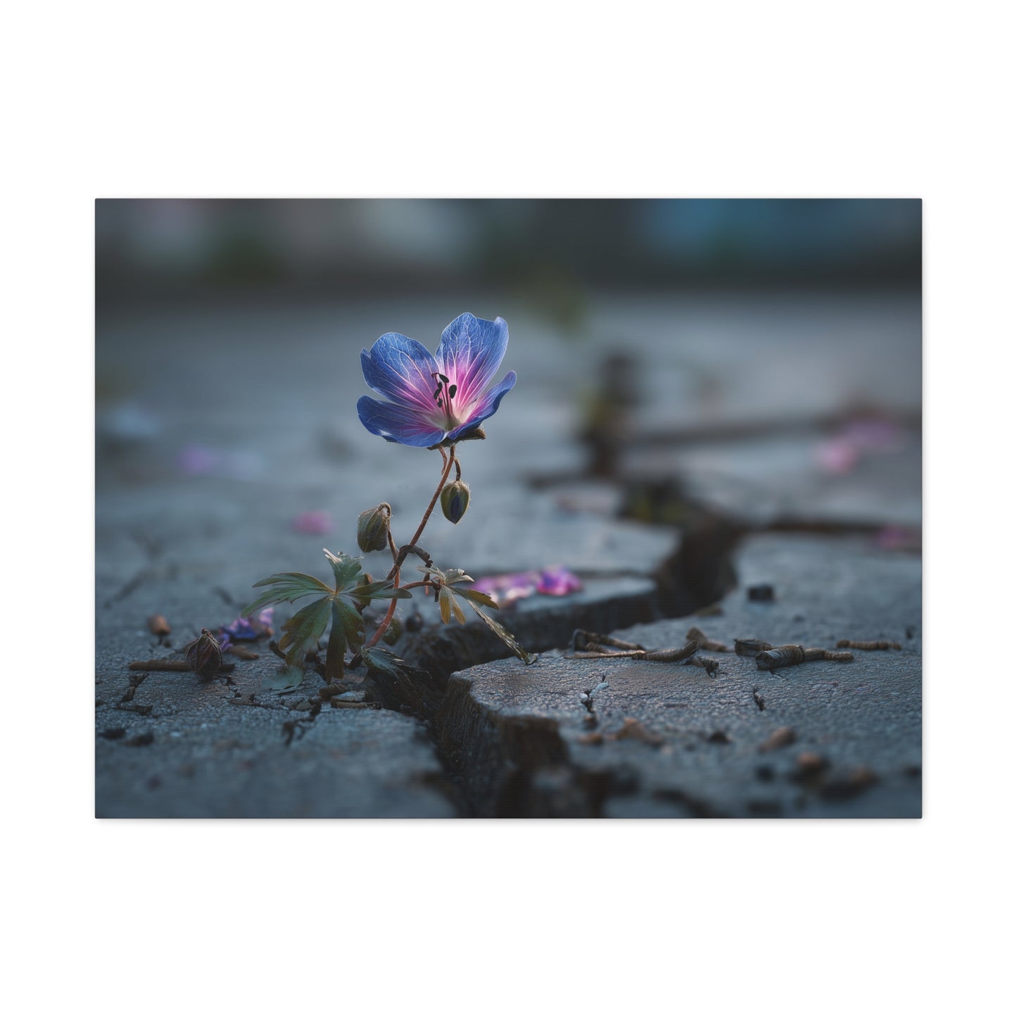 Resilient Bloom: Macro Geranium Photography, Nature's Endurance Landscape--1aceswild.myshopify.com
