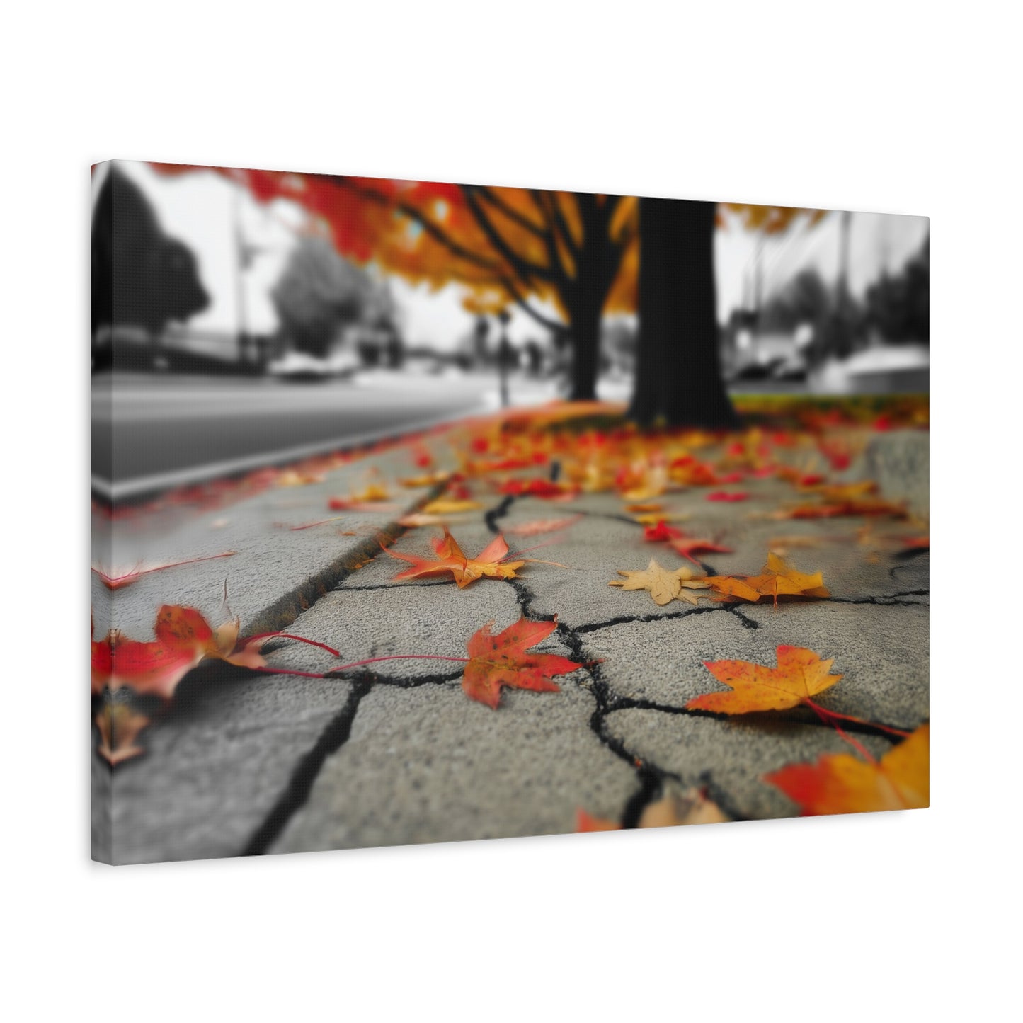 Autumn's Fragmented Canvas: Fallen Maple Leaf, Urban Decay, Seasonal Transition--1aceswild.myshopify.com