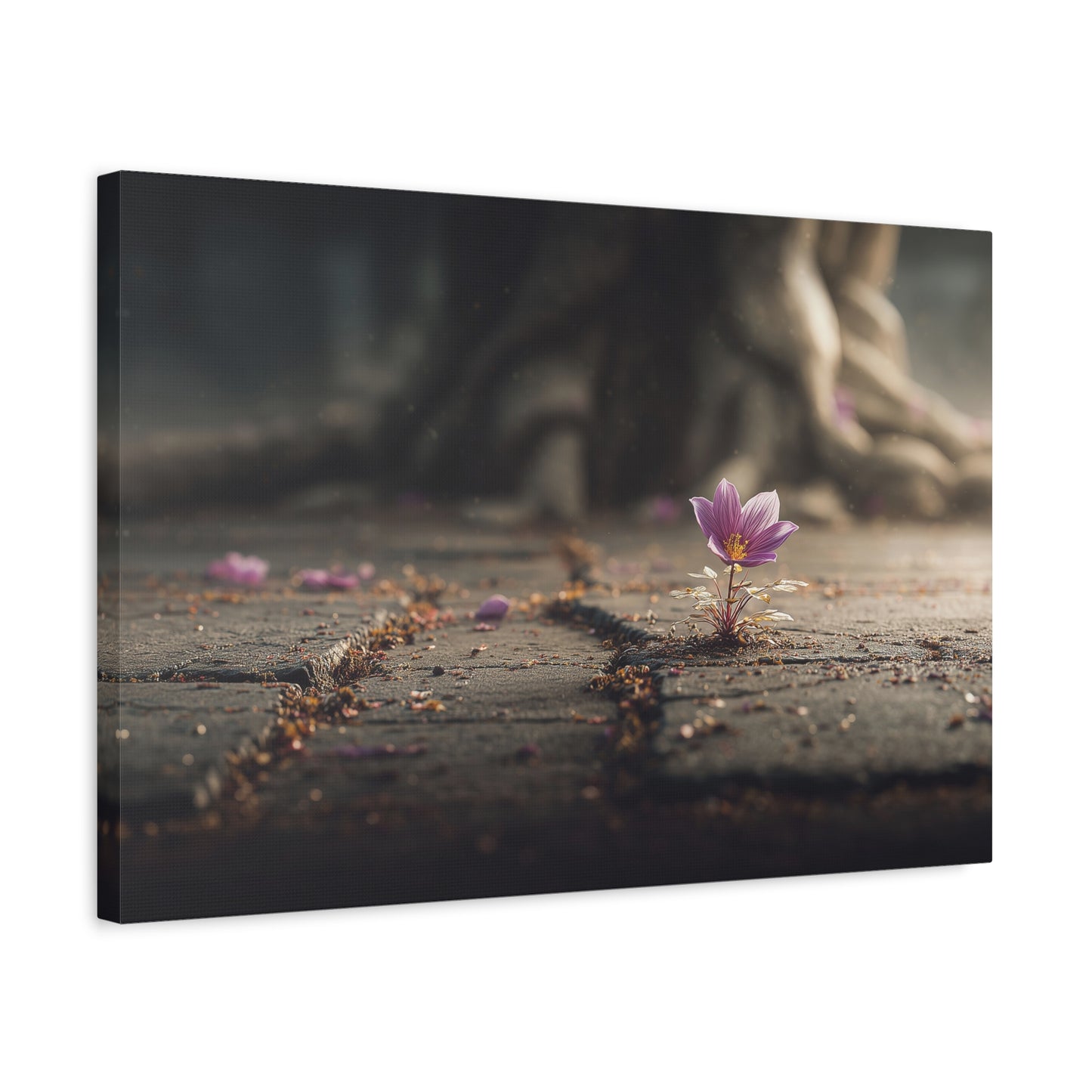 Resilient Bloom: Concrete Flower Macro, Purple Nature Photography--1aceswild.myshopify.com