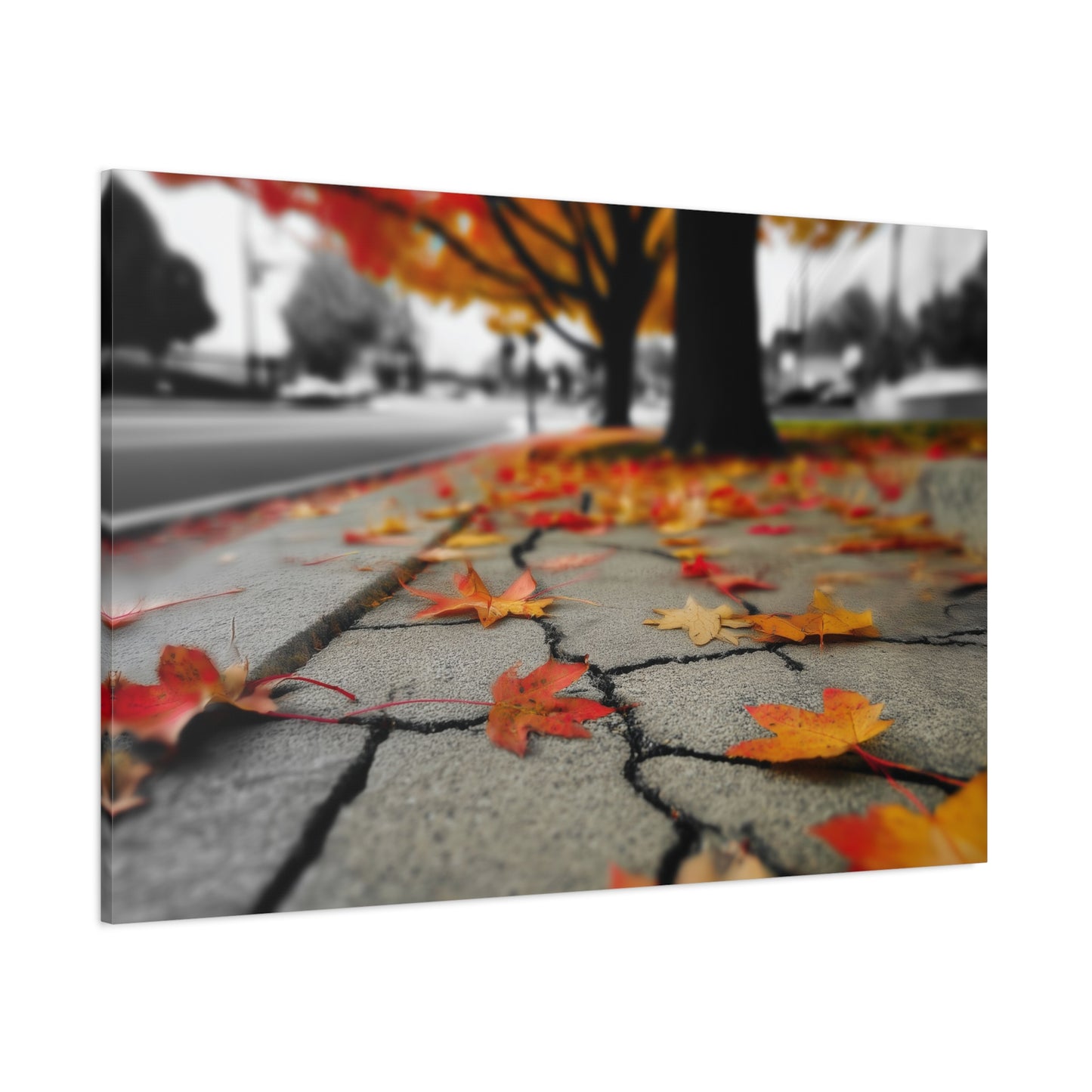 Autumn's Fragmented Canvas: Fallen Maple Leaf, Urban Decay, Seasonal Transition--1aceswild.myshopify.com