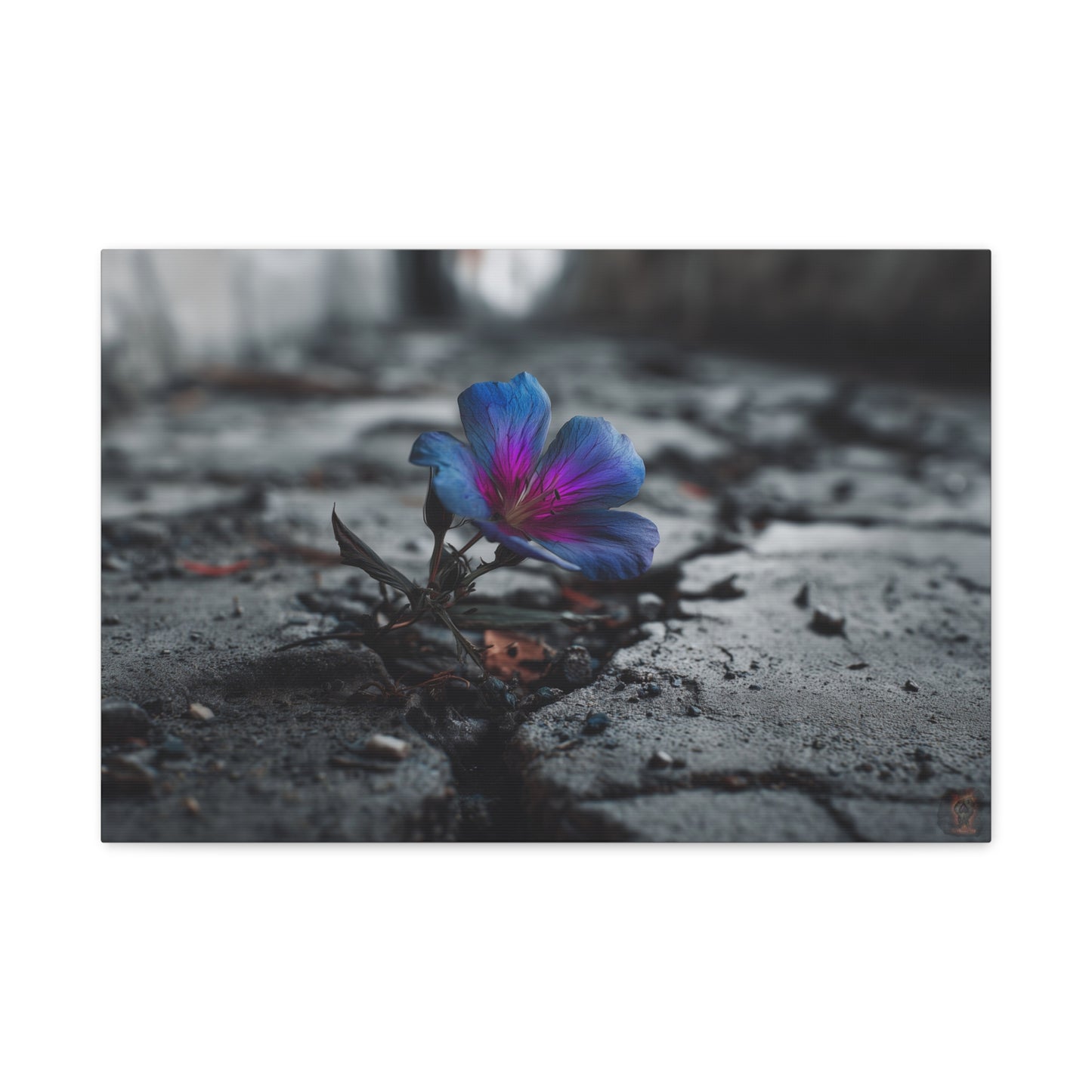 Resilient Bloom: Vibrant Macro Flower Photography, Landscape of Contrast--1aceswild.myshopify.com