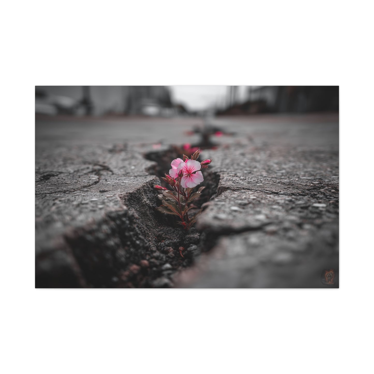 Resilient Bloom: Nature's Defiance, Black and White Urban Photography--1aceswild.myshopify.com