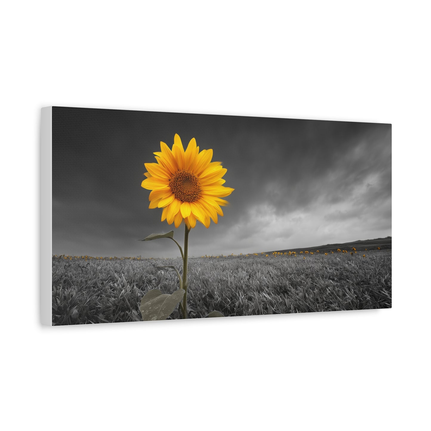 Bathing In The Sun - Vibrant Sunflower Canvas Art, Home Decor, Wall Art, Nature Photography.