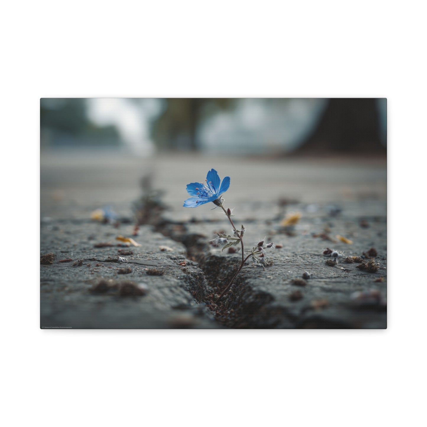 Resilience in Blue: Macro Flower Photography, Urban Nature Survival--1aceswild.myshopify.com