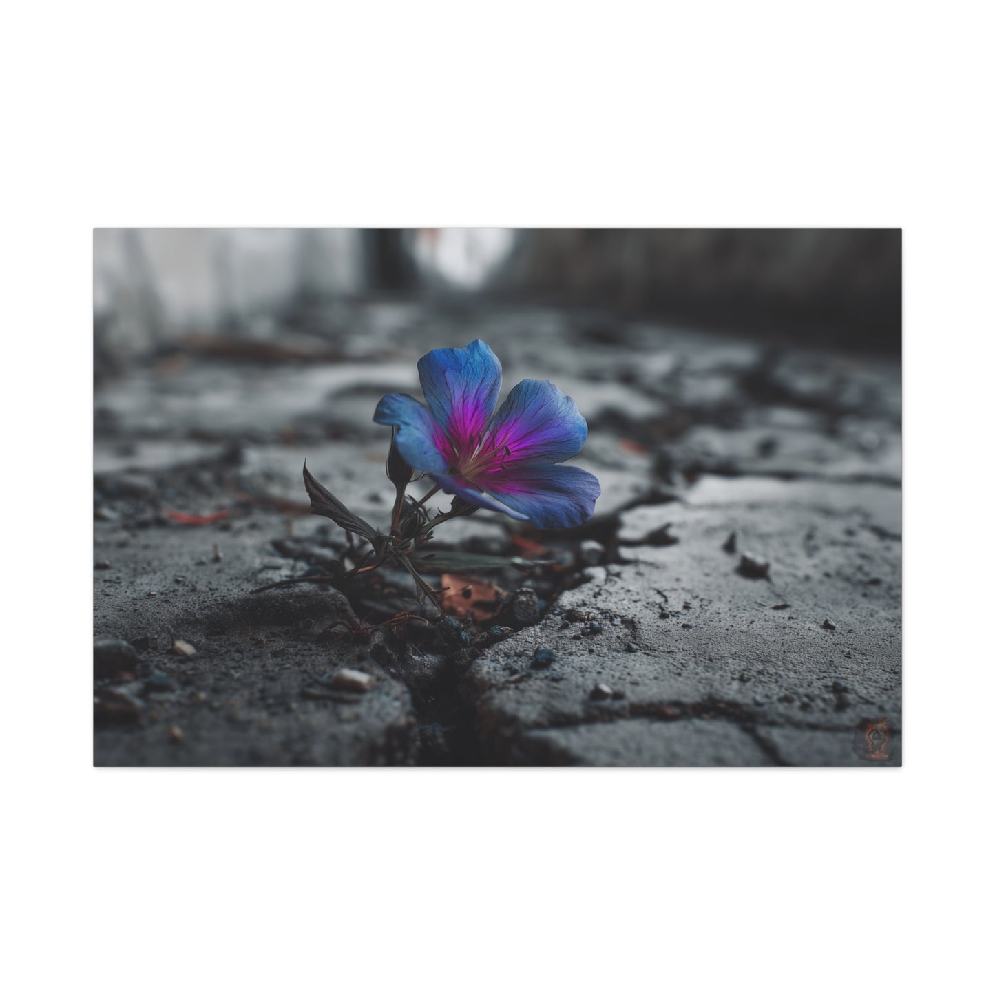 Resilient Bloom: Vibrant Macro Flower Photography, Landscape of Contrast--1aceswild.myshopify.com