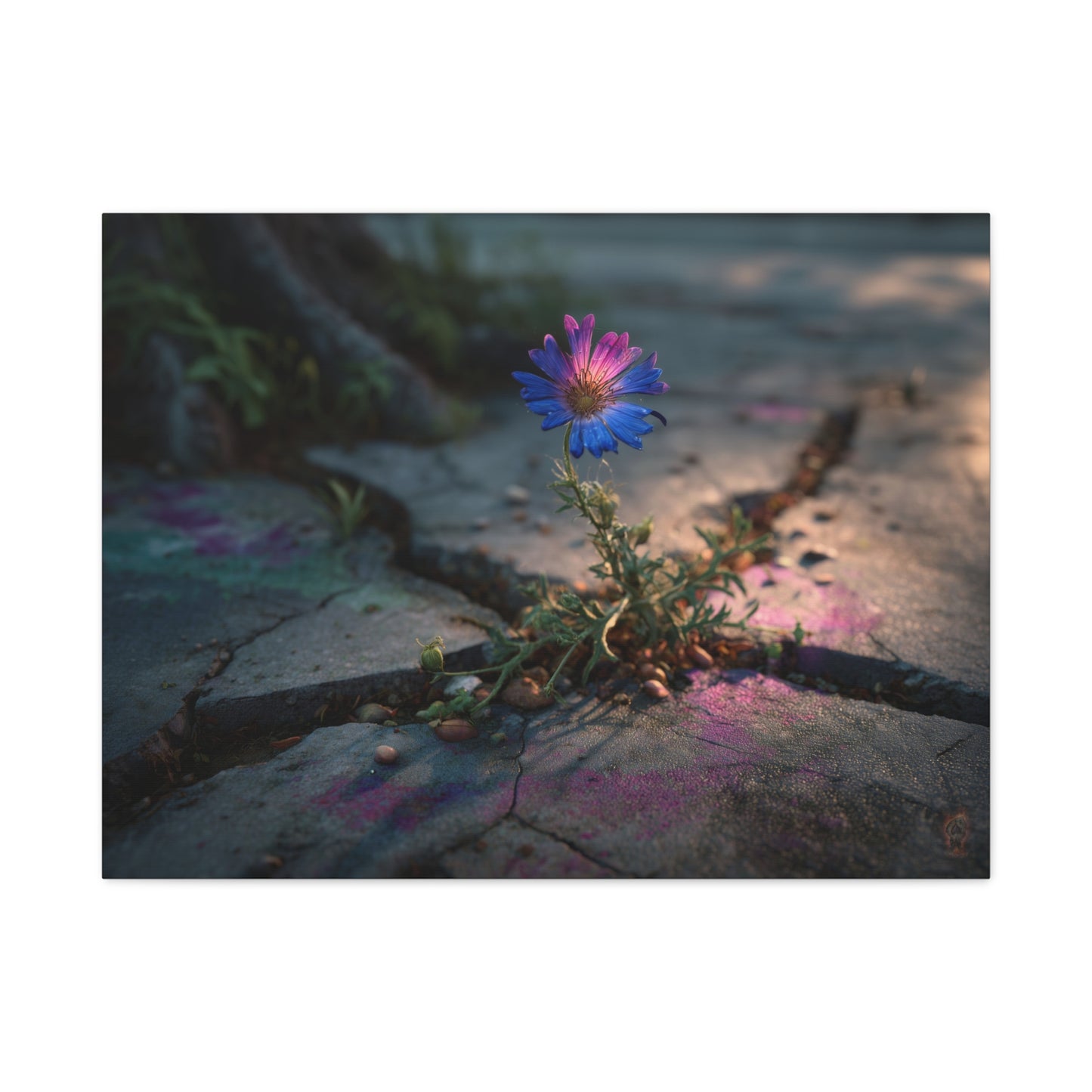 Resilience of Blue: Wildflower Through Concrete, Nature's Defiant Bloom--1aceswild.myshopify.com