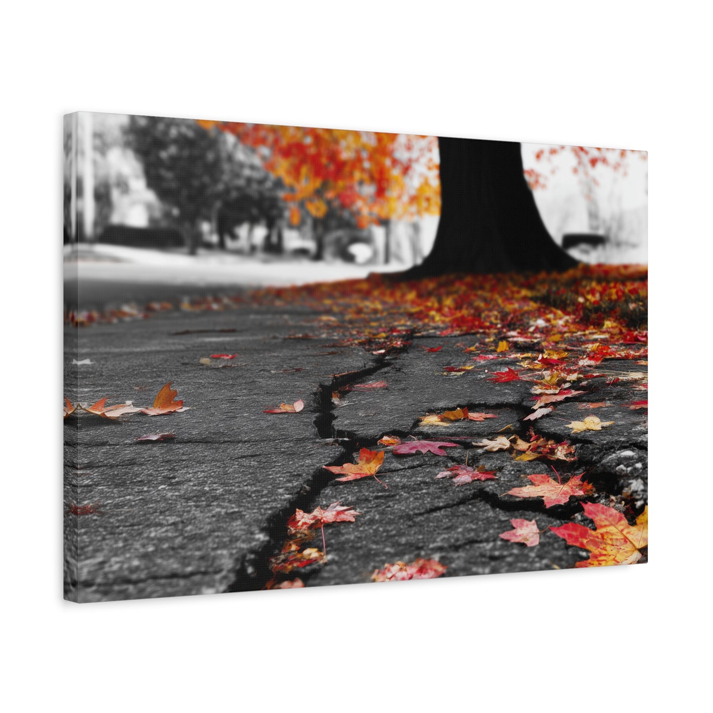 Autumn's Requiem: Fallen Maple Fragments, Grayscale Urban Decay--1aceswild.myshopify.com