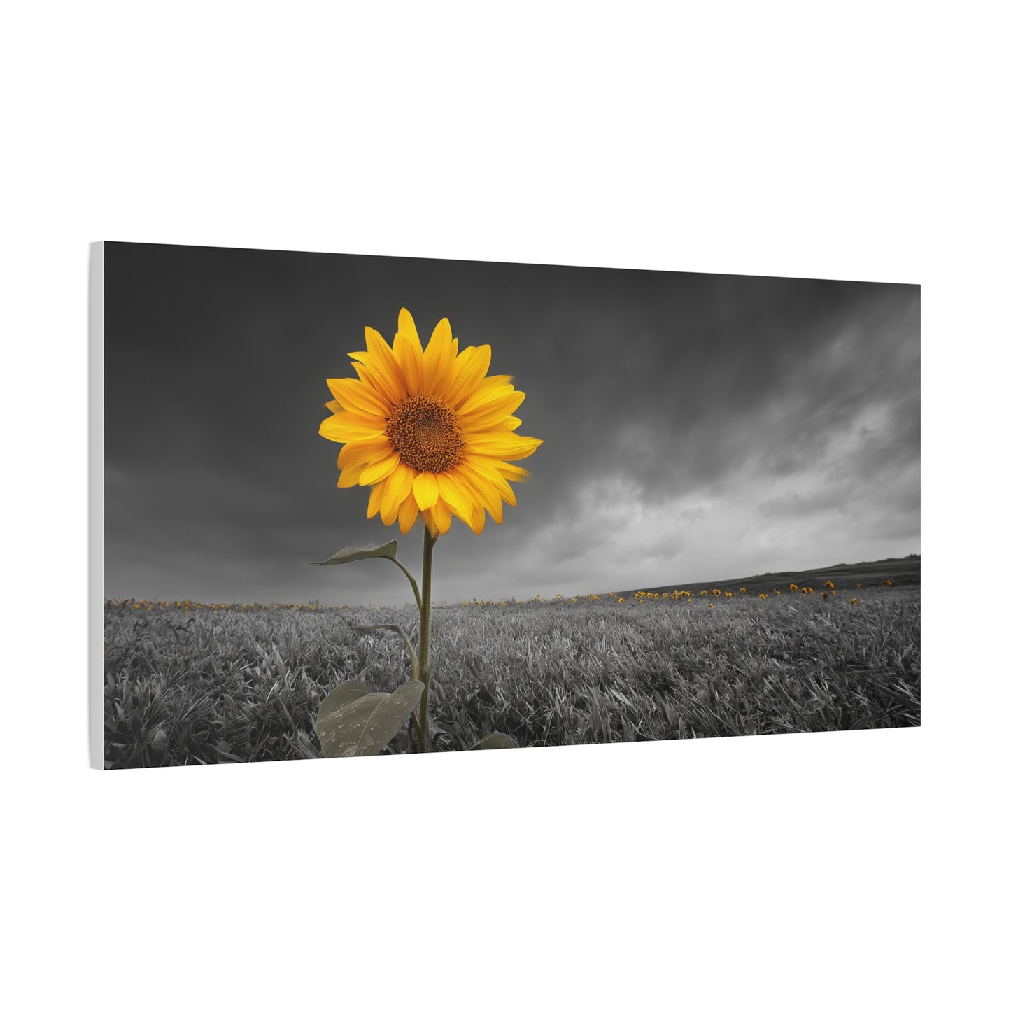 Bathing In The Sun - Vibrant Sunflower Canvas Art, Home Decor, Wall Art, Nature Photography.