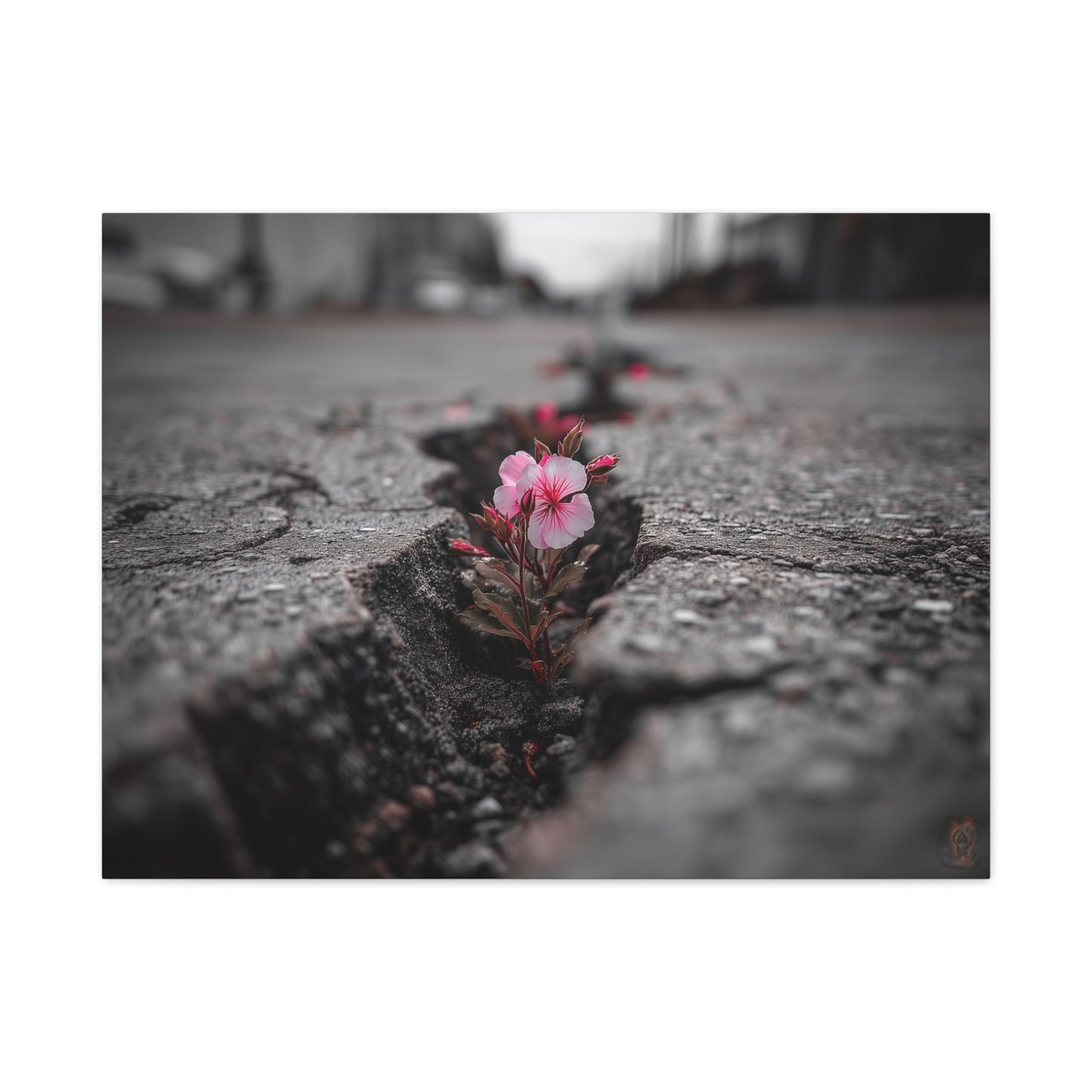 Resilient Bloom: Nature's Defiance, Black and White Urban Photography--1aceswild.myshopify.com