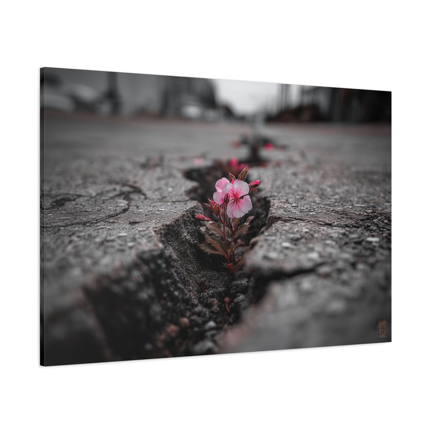Resilient Bloom: Nature's Defiance, Black and White Urban Photography--1aceswild.myshopify.com