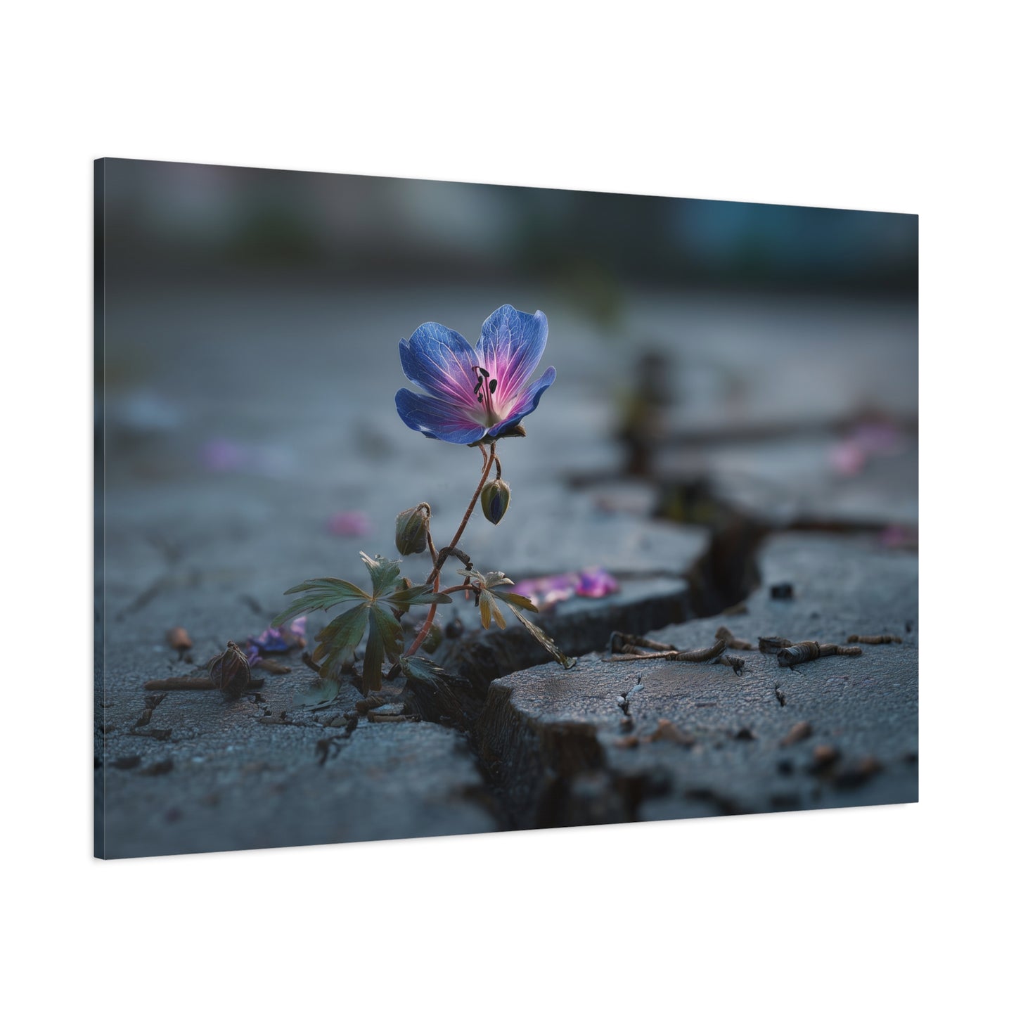 Resilient Bloom: Macro Geranium Photography, Nature's Endurance Landscape--1aceswild.myshopify.com