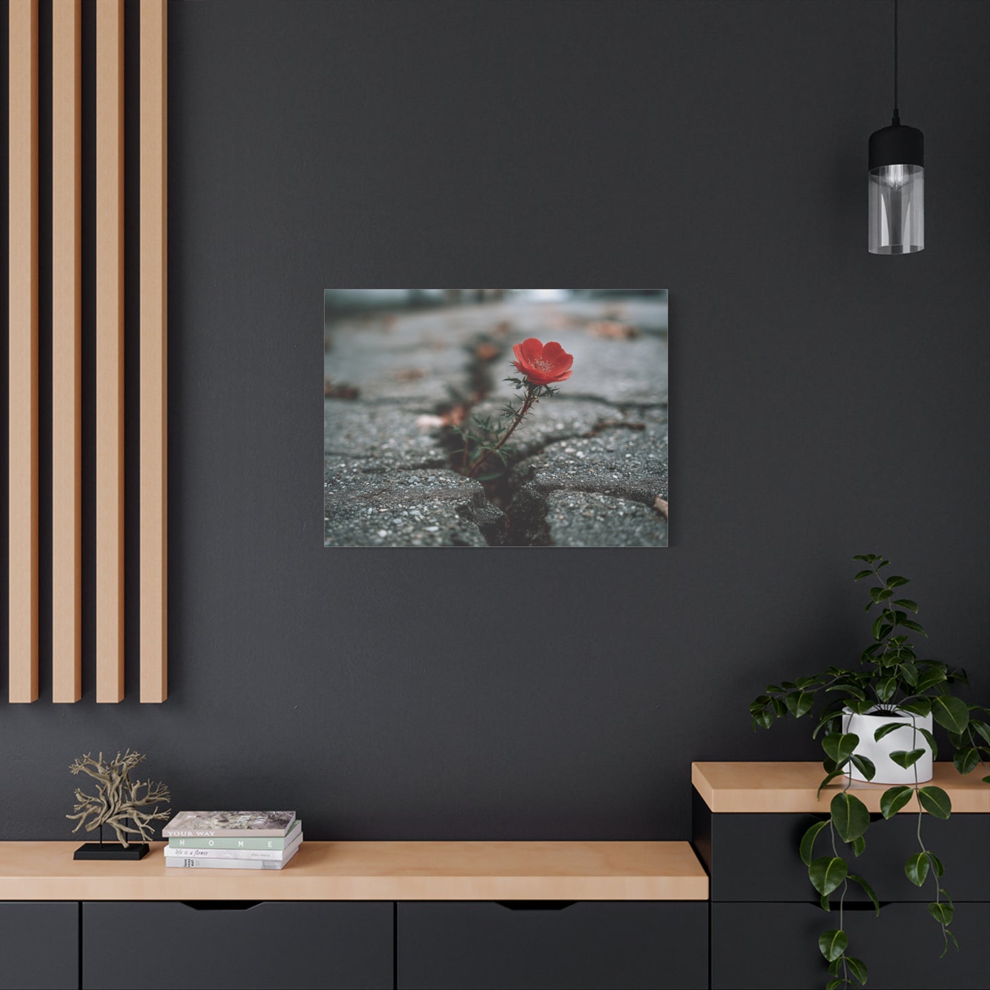 Defiance in Concrete: Resilient Bloom, Urban Nature Photography--1aceswild.myshopify.com