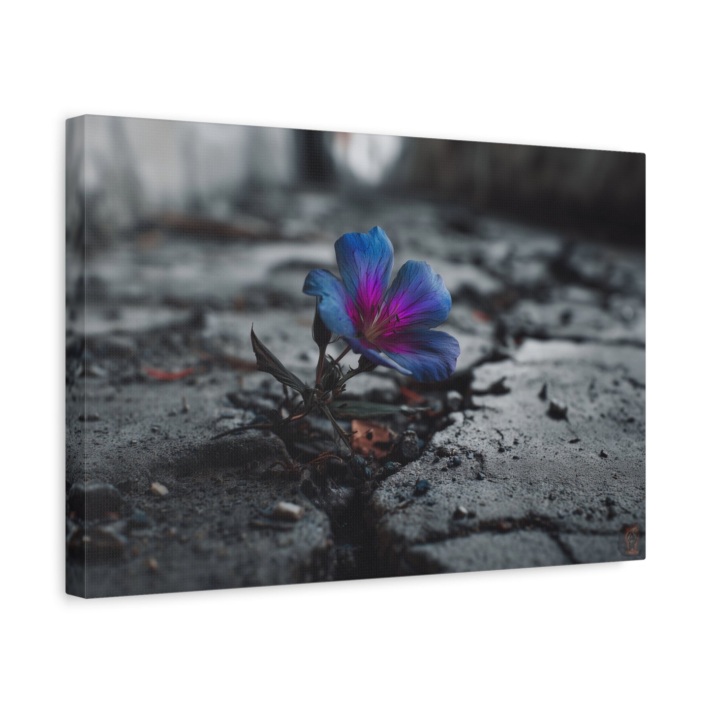 Resilient Bloom: Vibrant Macro Flower Photography, Landscape of Contrast--1aceswild.myshopify.com