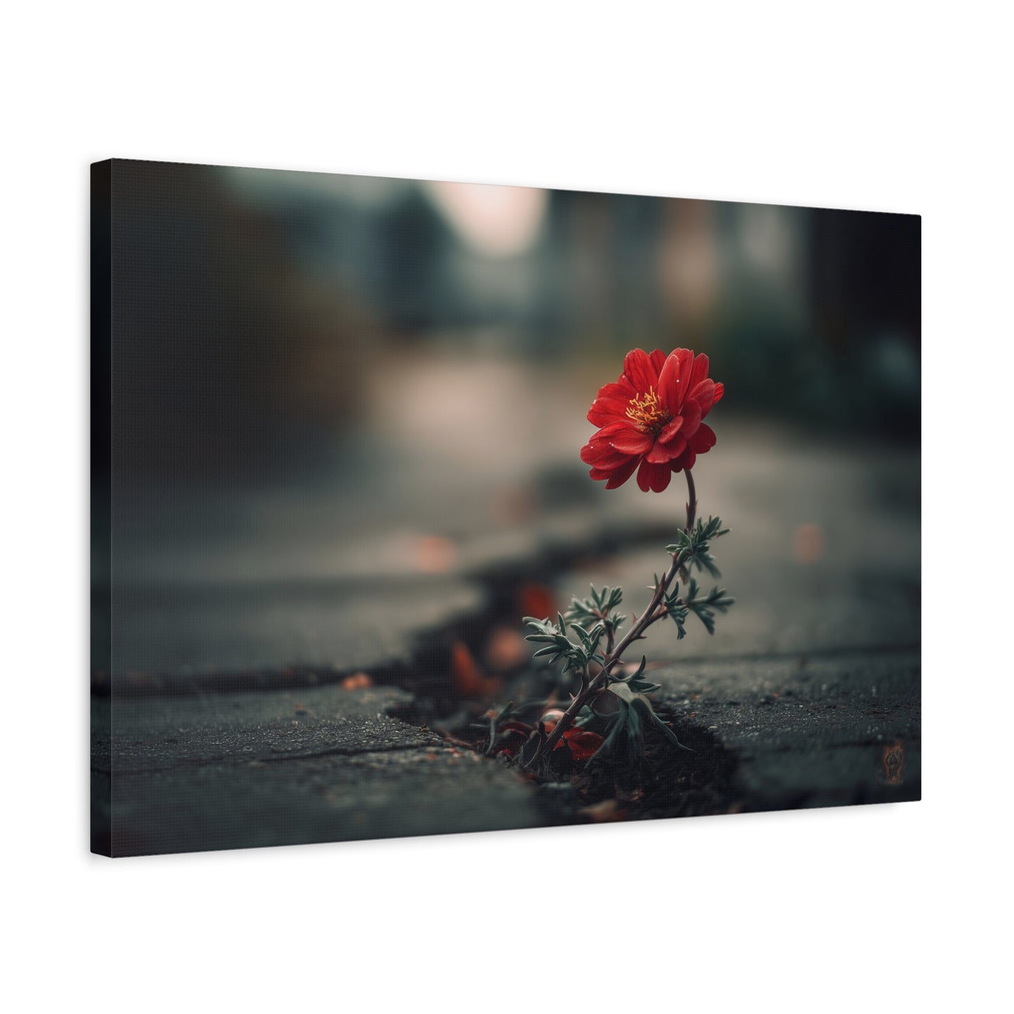 Resilience Blooms: Urban Flower Photography, Concrete Landscape Art--1aceswild.myshopify.com
