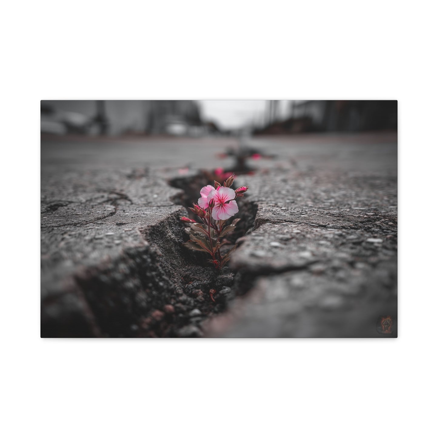Resilient Bloom: Nature's Defiance, Black and White Urban Photography--1aceswild.myshopify.com