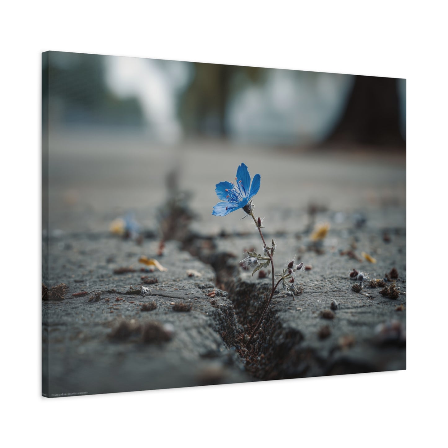 Resilience in Blue: Macro Flower Photography, Urban Nature Survival--1aceswild.myshopify.com
