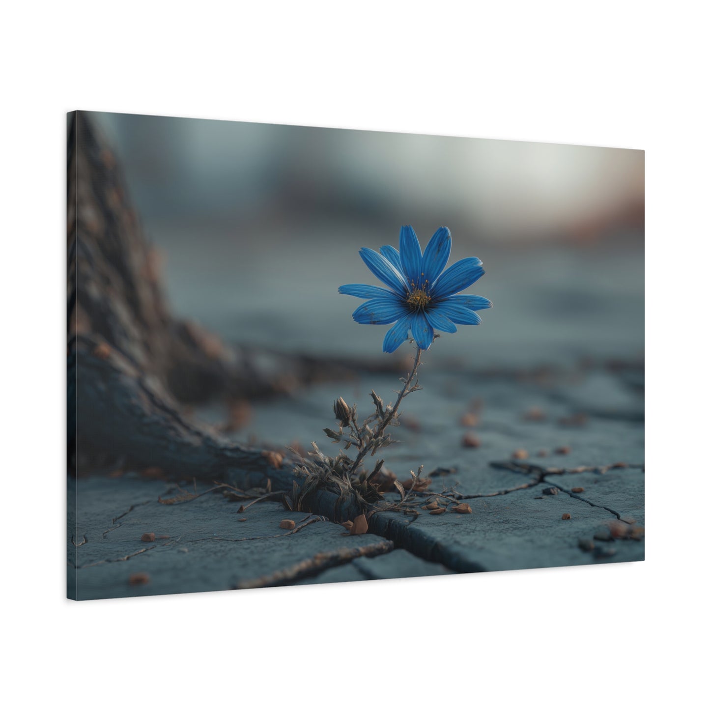 Defiant Bloom: Resilience in Gray, Hope from Stone, Nature's Triumph--1aceswild.myshopify.com