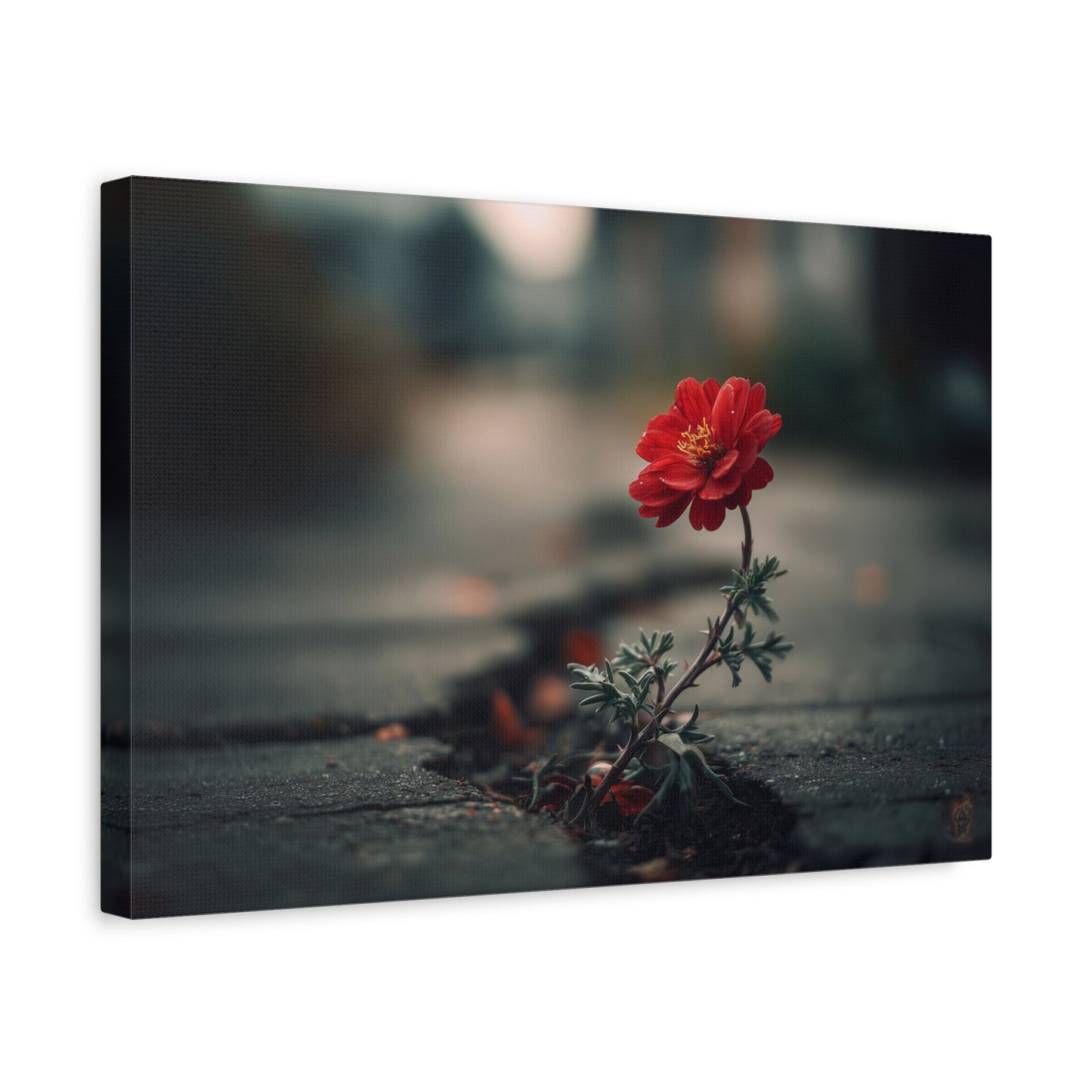 Resilience Blooms: Urban Flower Photography, Concrete Landscape Art--1aceswild.myshopify.com