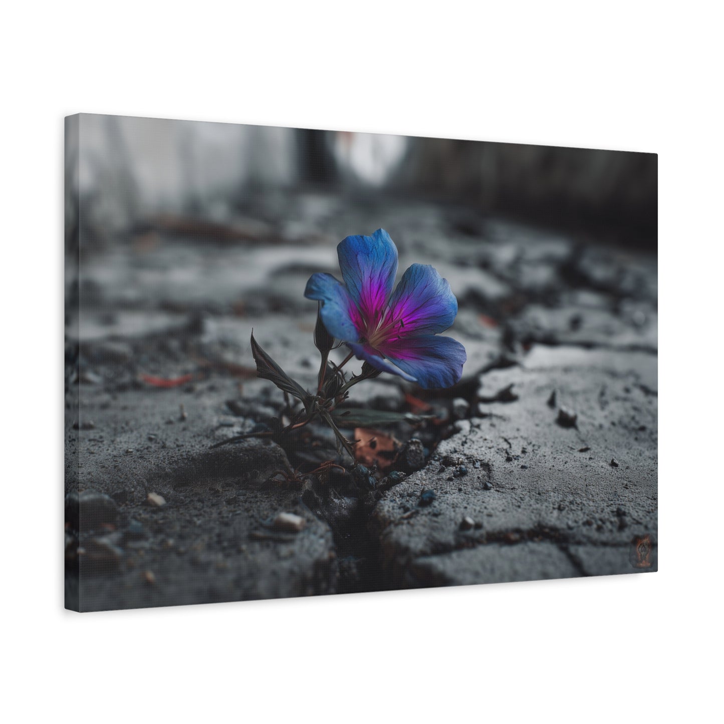Resilient Bloom: Vibrant Macro Flower Photography, Landscape of Contrast--1aceswild.myshopify.com