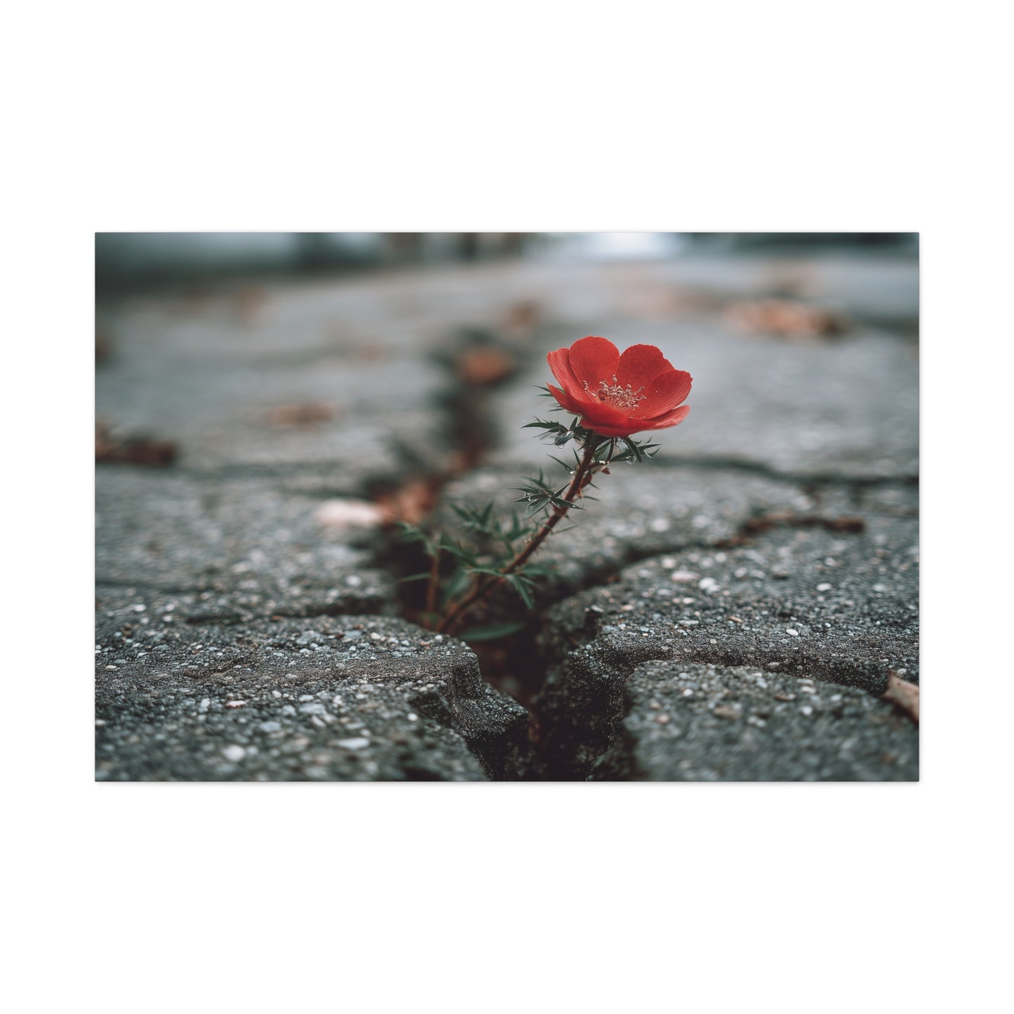 Defiance in Concrete: Resilient Bloom, Urban Nature Photography--1aceswild.myshopify.com