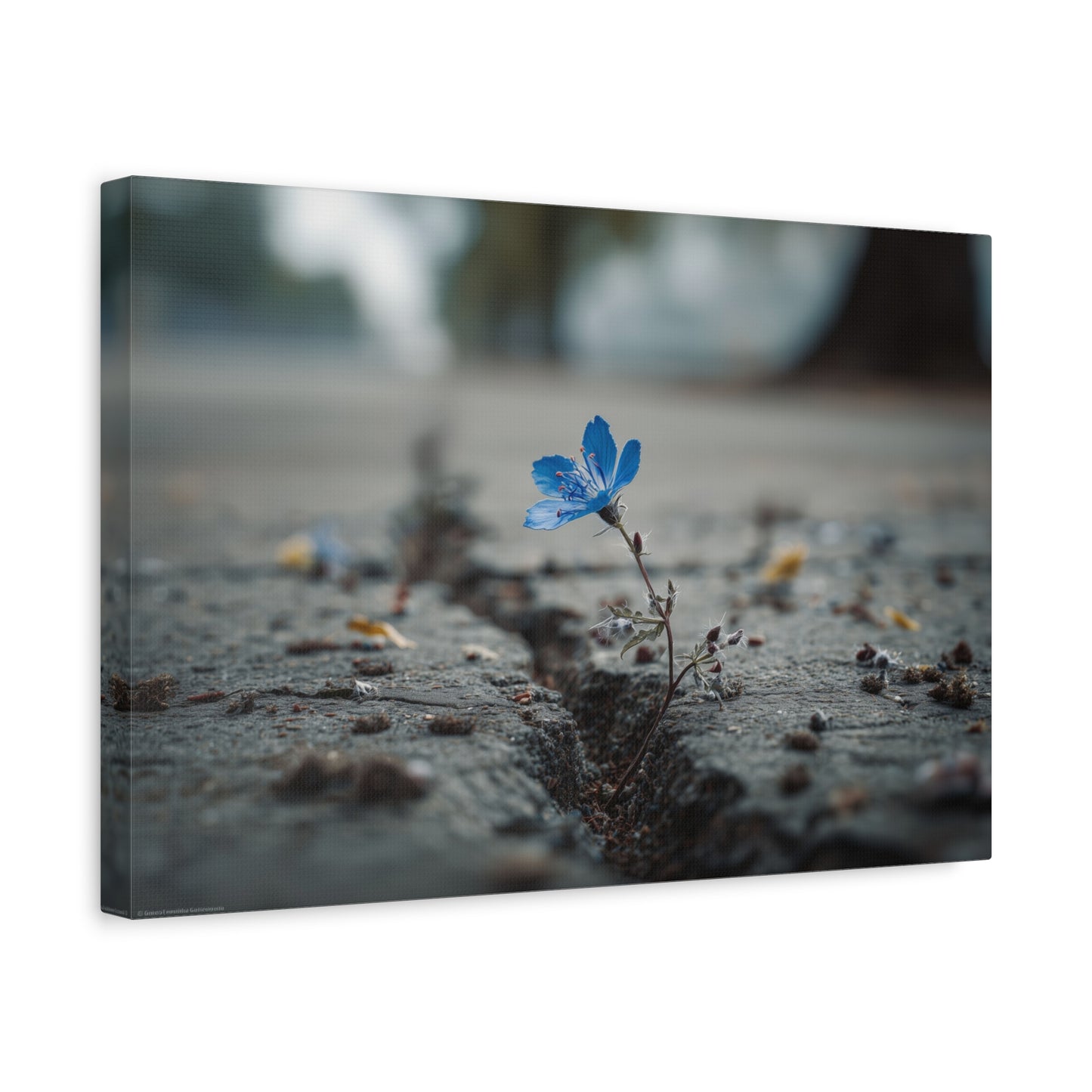 Resilience in Blue: Macro Flower Photography, Urban Nature Survival--1aceswild.myshopify.com
