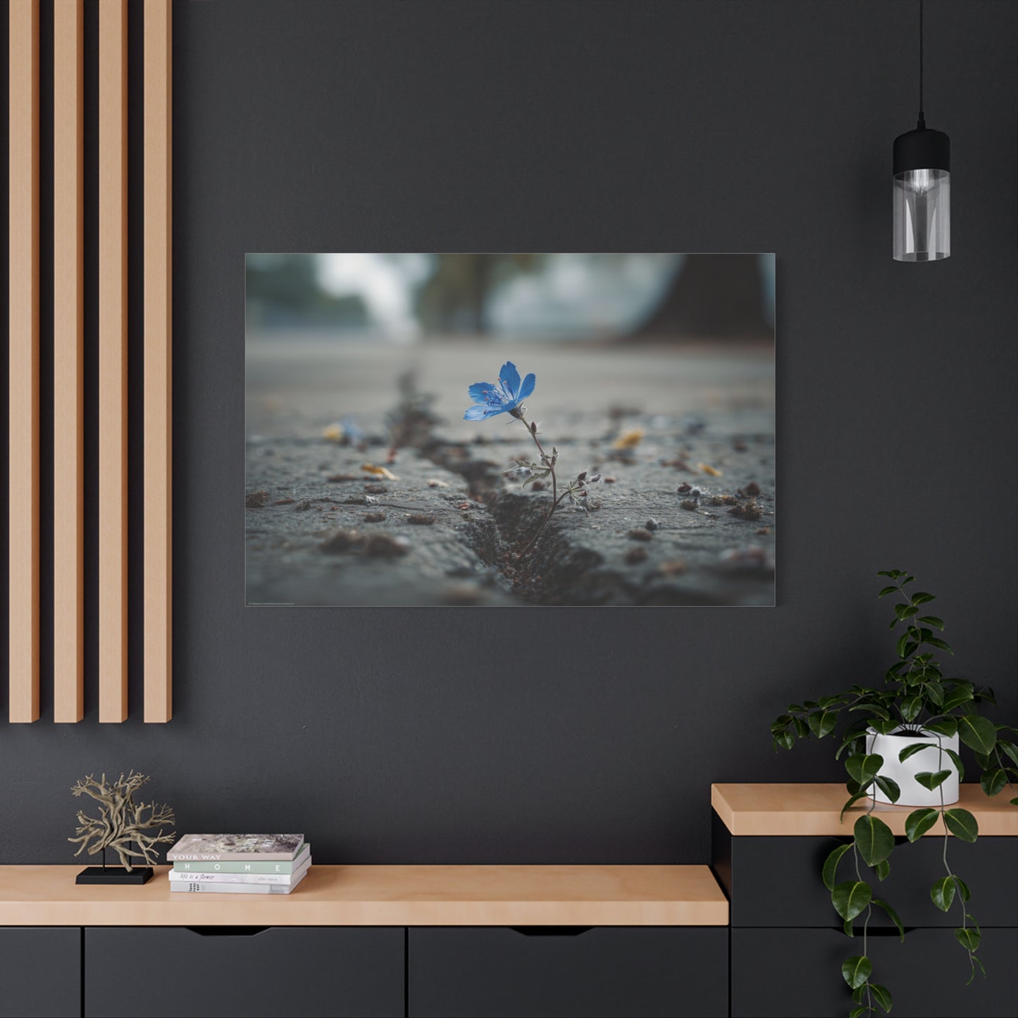Resilience in Blue: Macro Flower Photography, Urban Nature Survival--1aceswild.myshopify.com