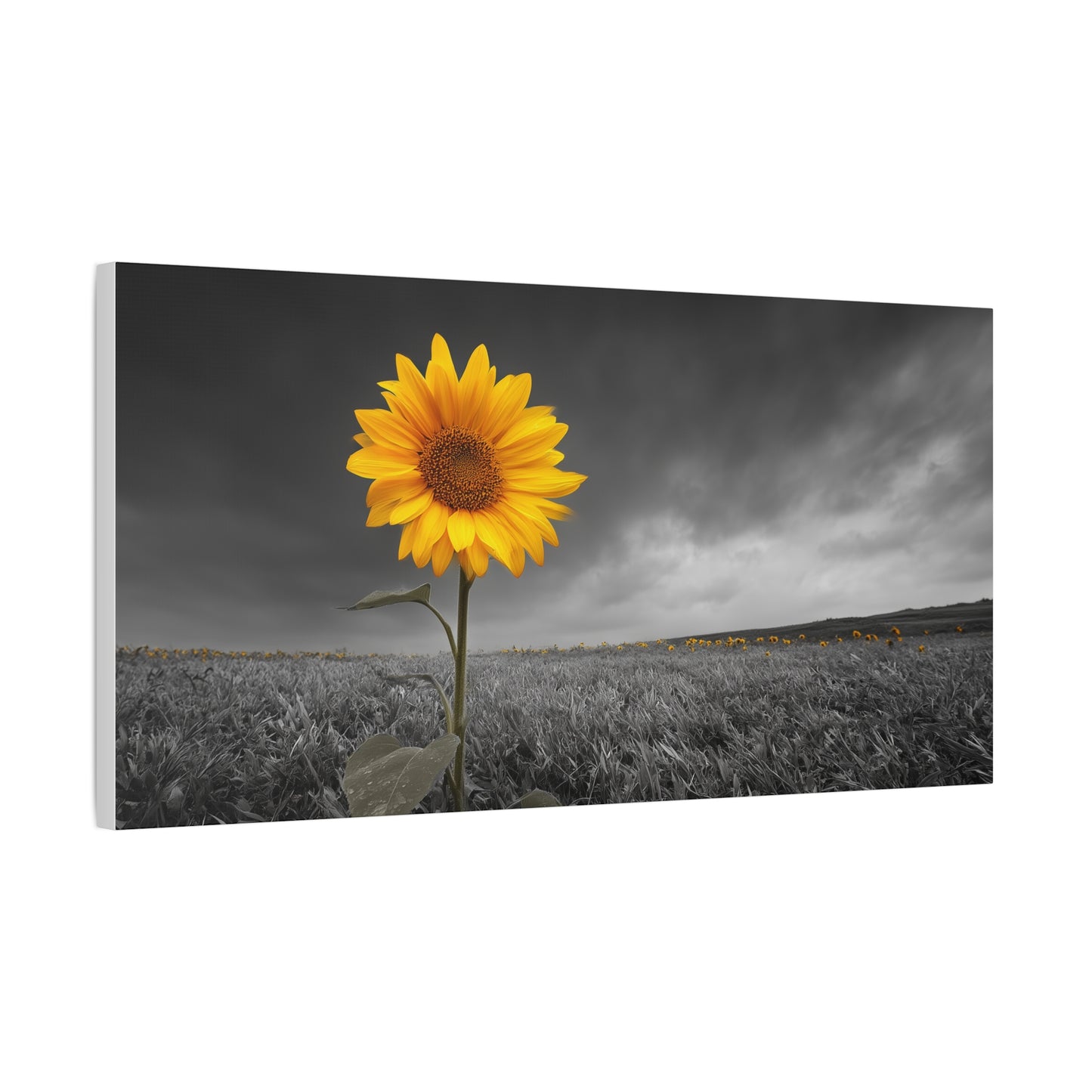 Bathing In The Sun - Vibrant Sunflower Canvas Art, Home Decor, Wall Art, Nature Photography.