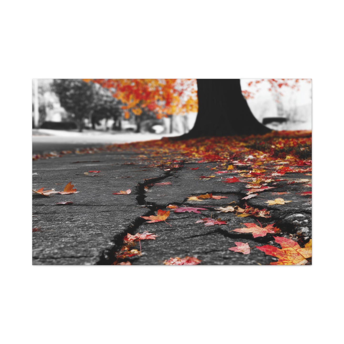 Autumn's Requiem: Fallen Maple Fragments, Grayscale Urban Decay--1aceswild.myshopify.com