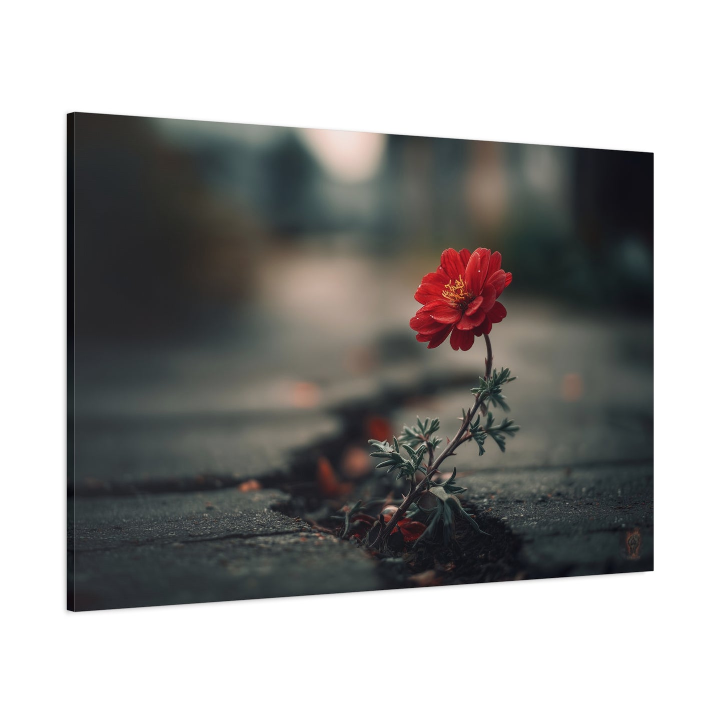 Resilience Blooms: Urban Flower Photography, Concrete Landscape Art--1aceswild.myshopify.com