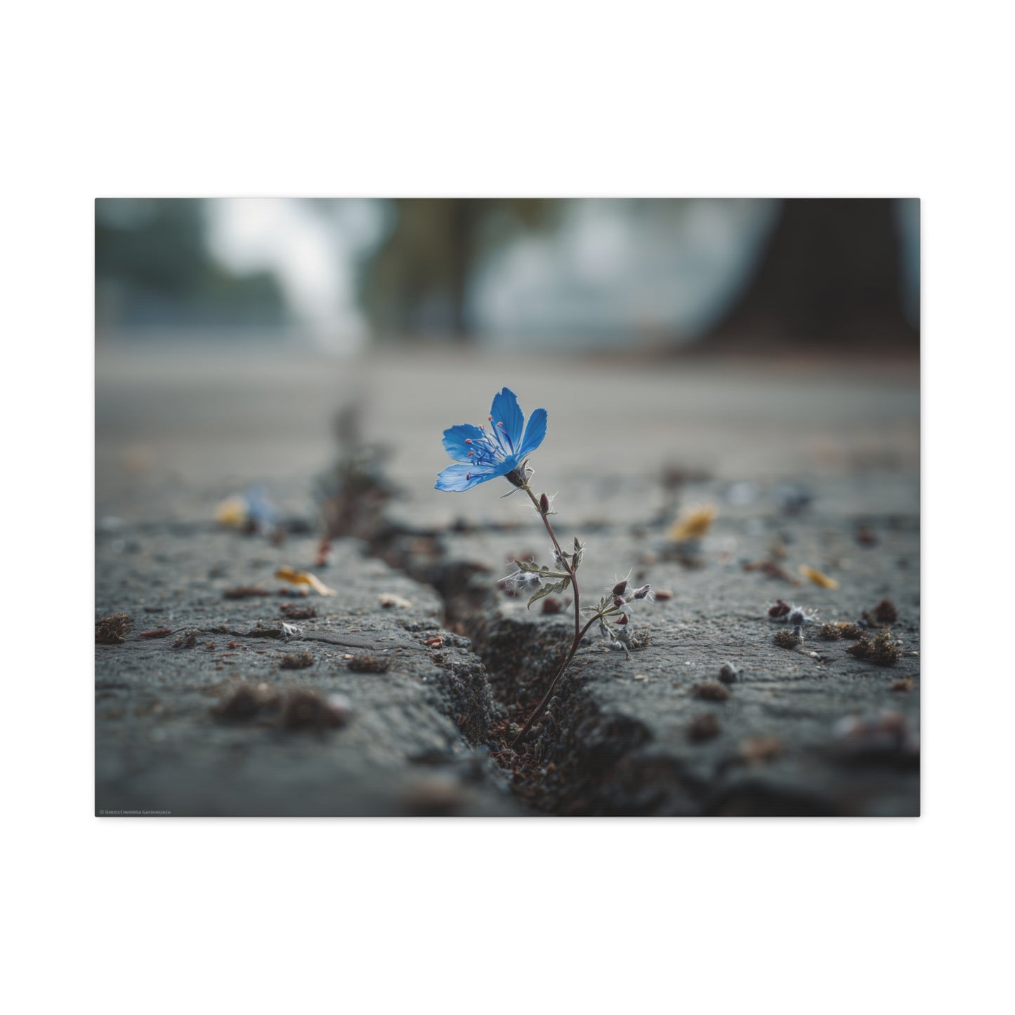 Resilience in Blue: Macro Flower Photography, Urban Nature Survival--1aceswild.myshopify.com
