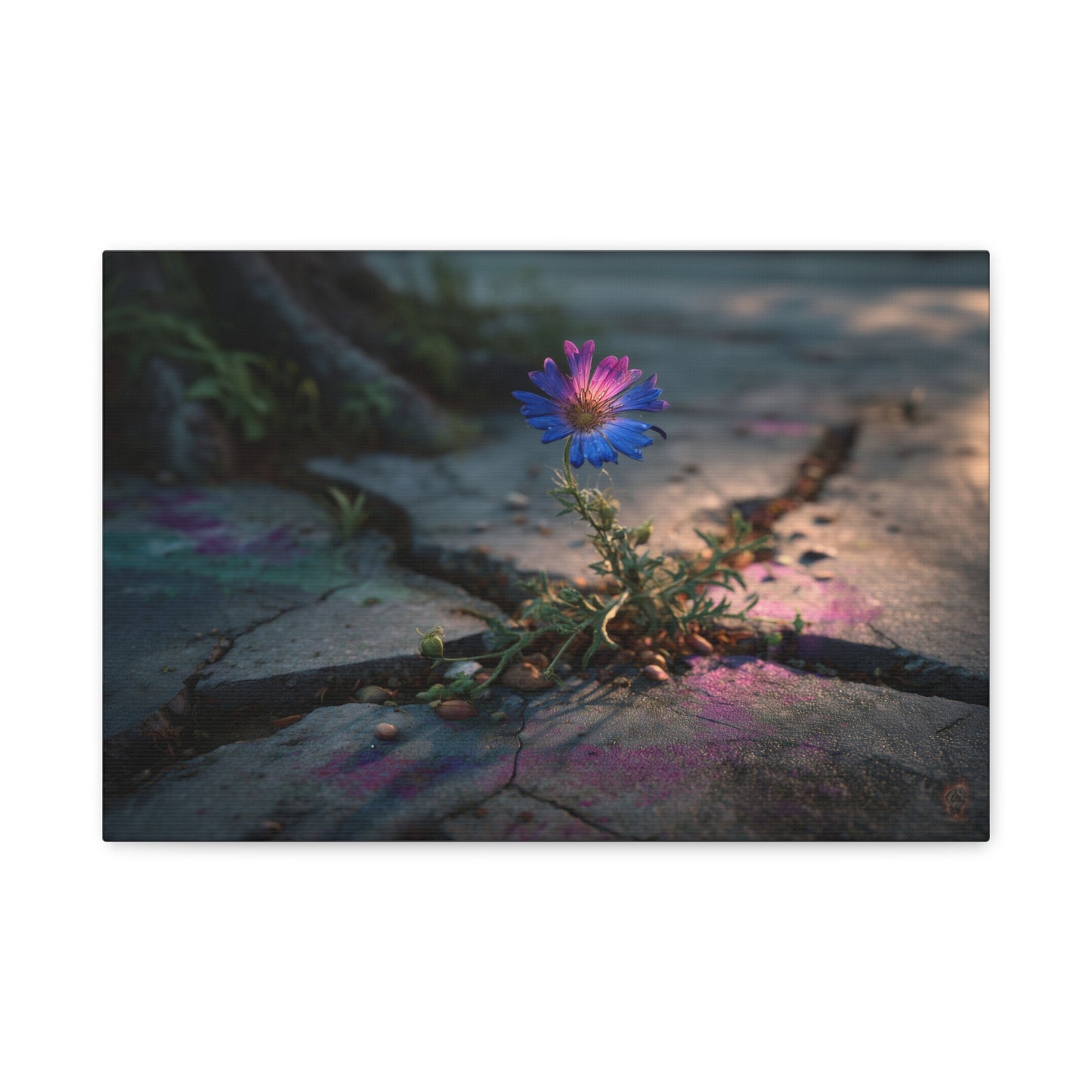 Resilience of Blue: Wildflower Through Concrete, Nature's Defiant Bloom--1aceswild.myshopify.com