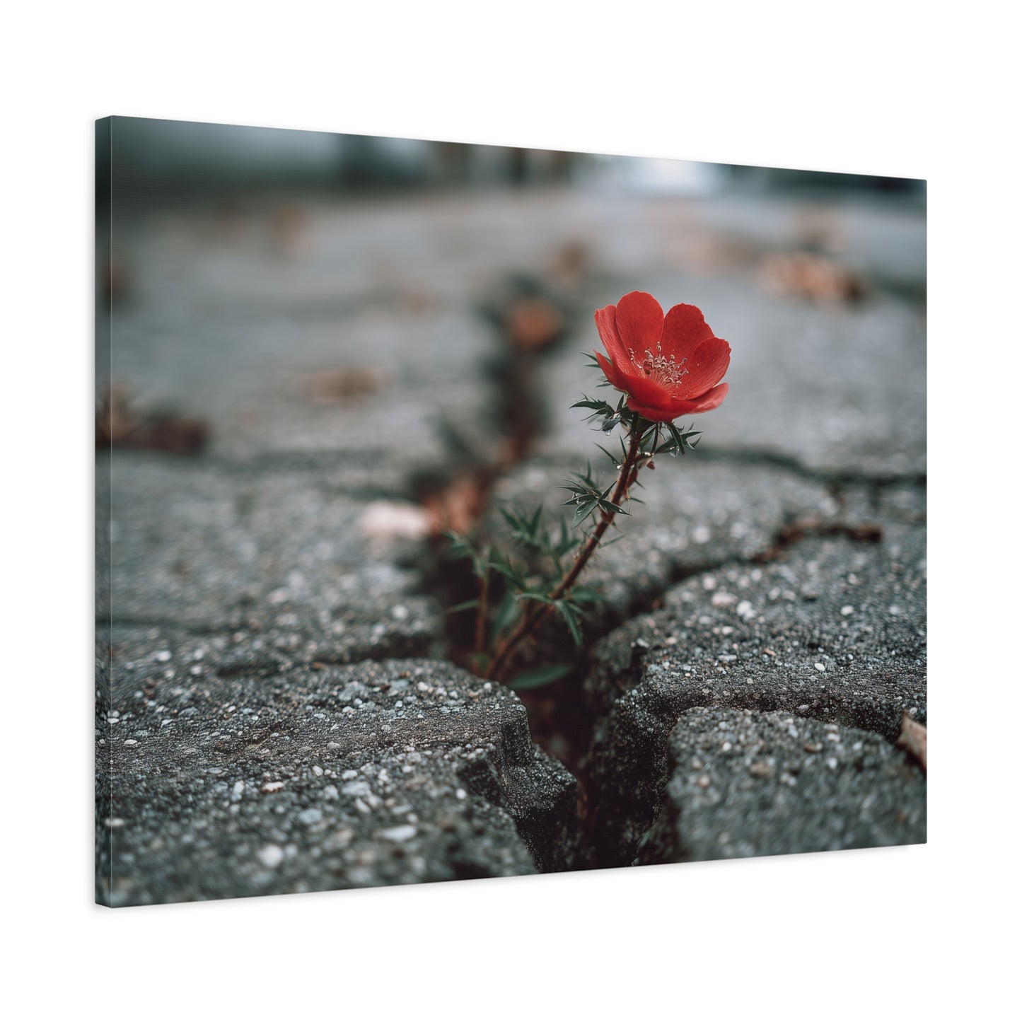 Defiance in Concrete: Resilient Bloom, Urban Nature Photography--1aceswild.myshopify.com
