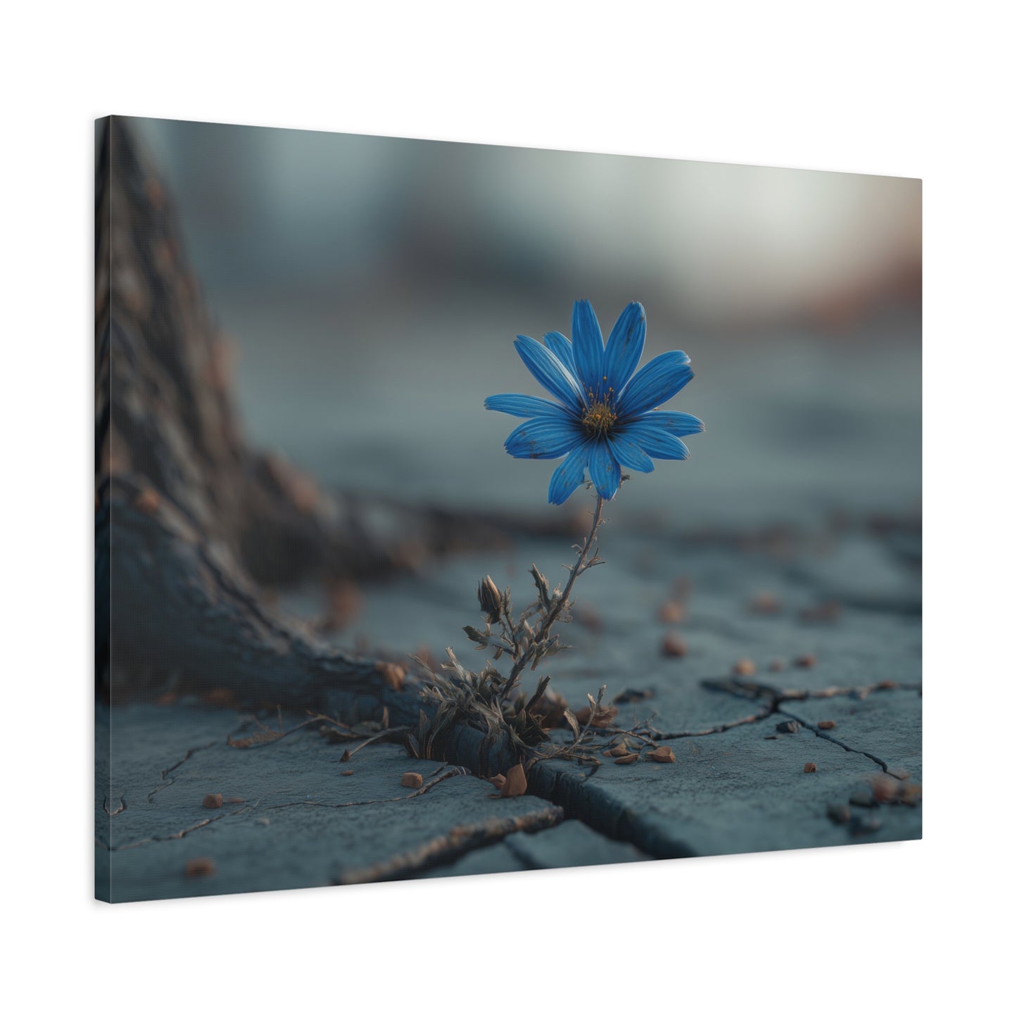 Defiant Bloom: Resilience in Gray, Hope from Stone, Nature's Triumph--1aceswild.myshopify.com