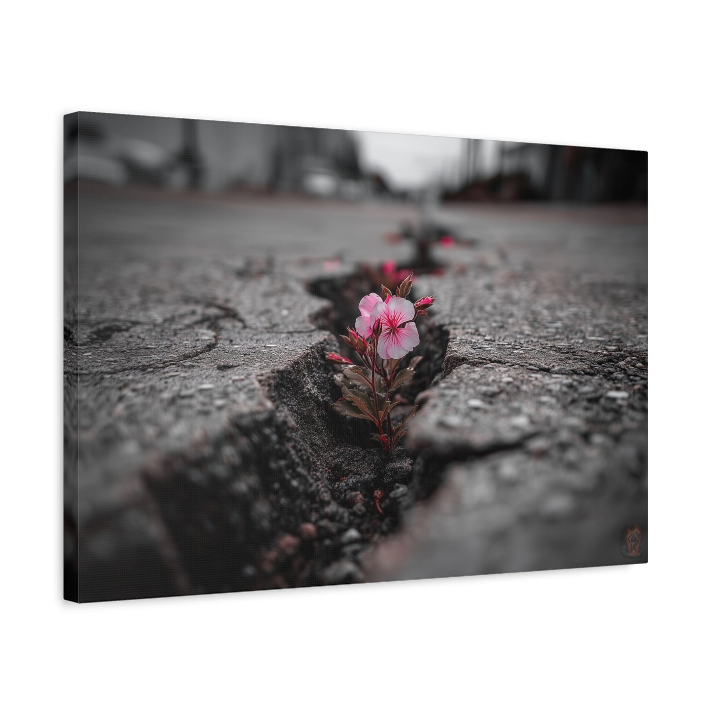 Resilient Bloom: Nature's Defiance, Black and White Urban Photography--1aceswild.myshopify.com